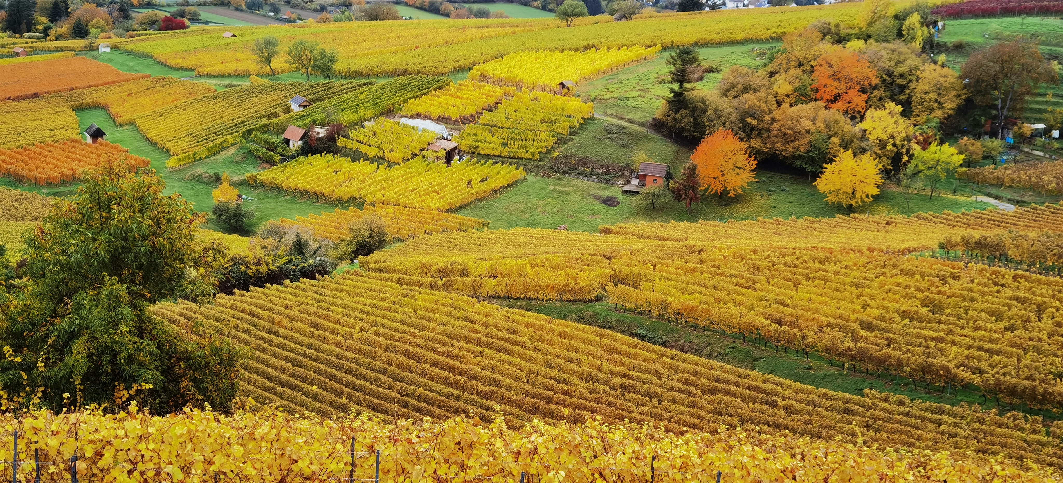 Photo by naturalmystic