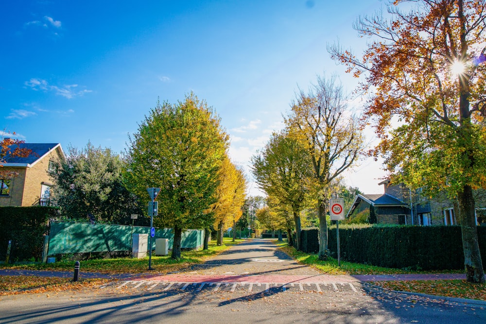 green trees near brown wooden house under blue sky during daytime