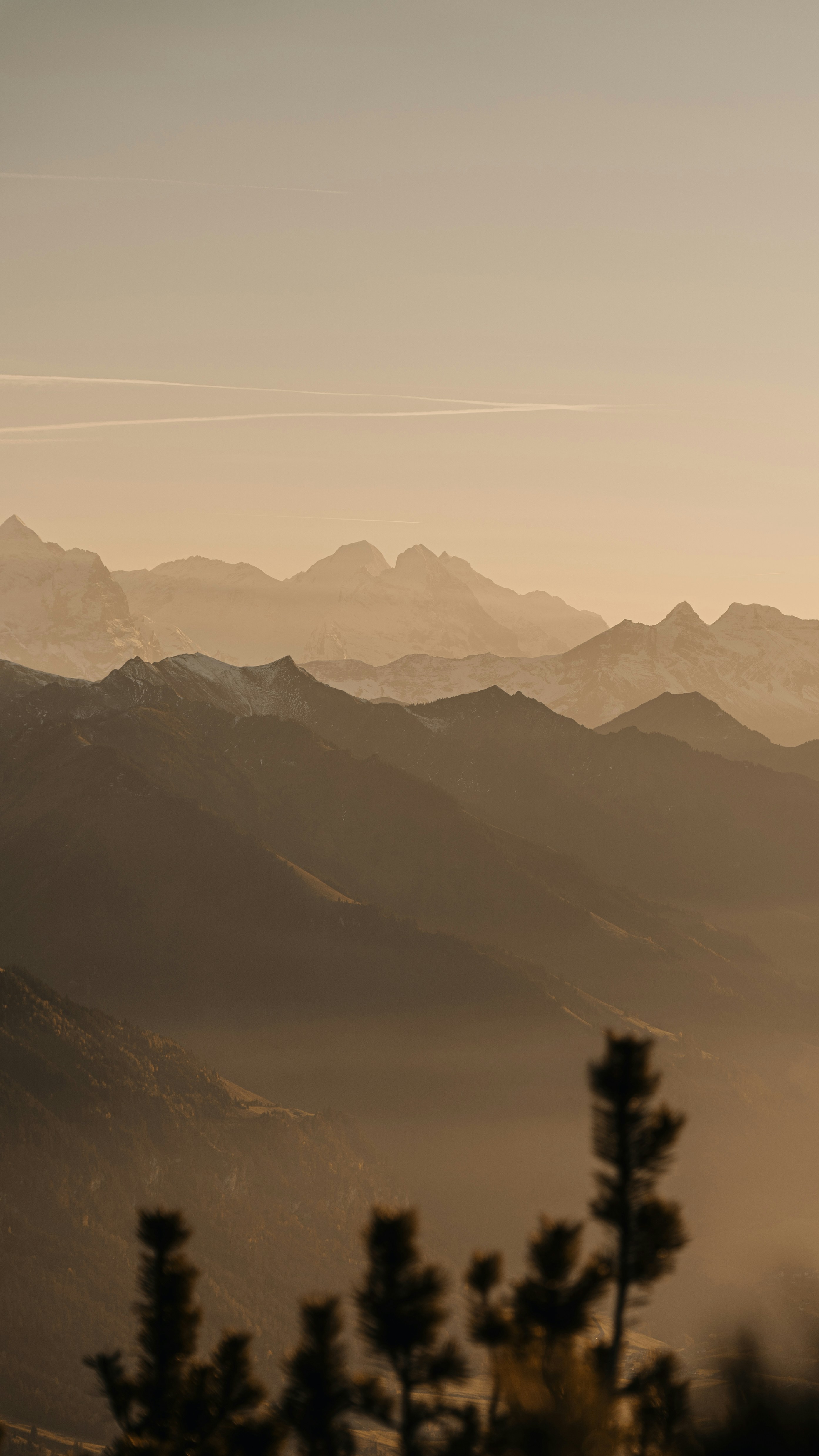 Photo by dariomuellerf