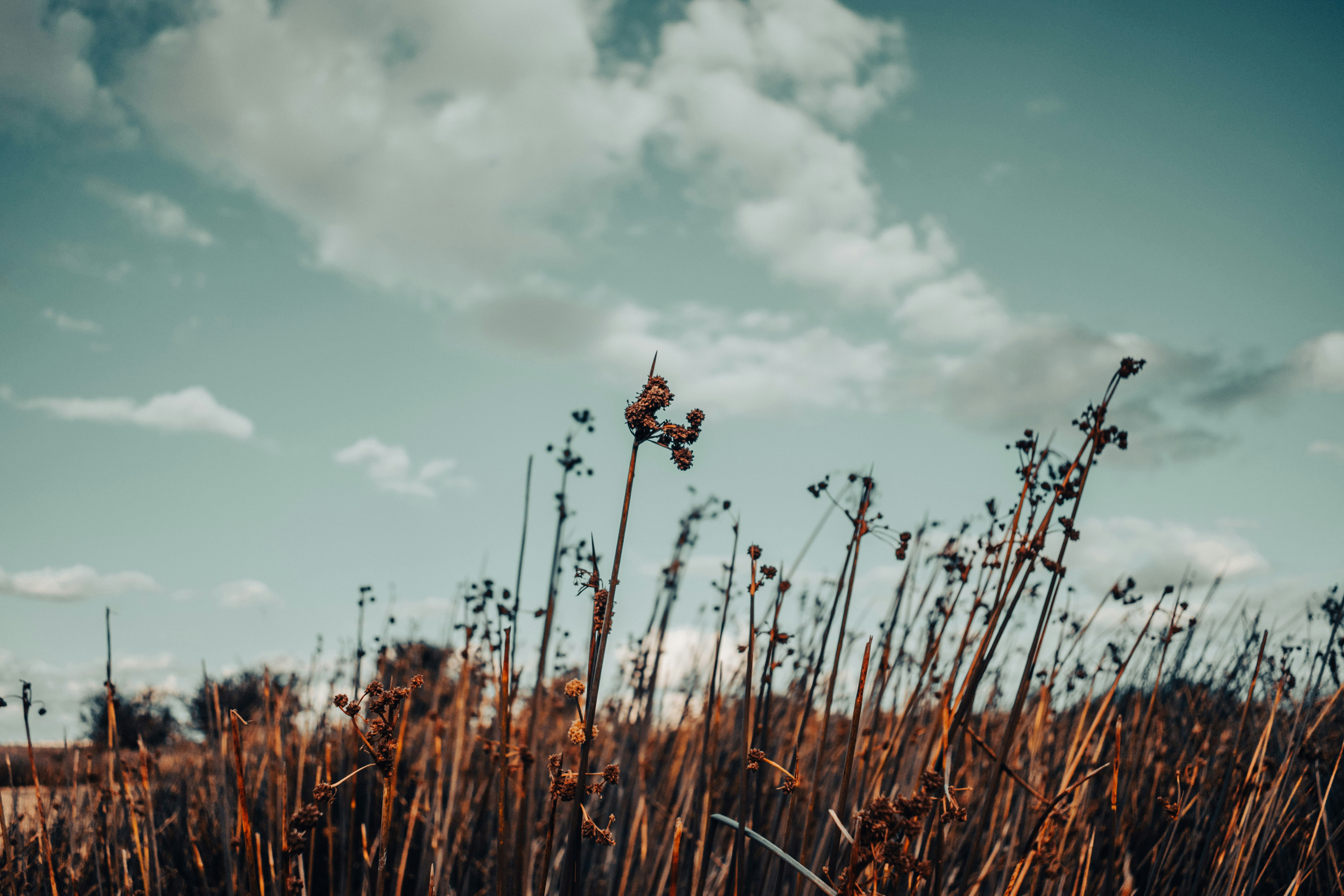 Photo by bilal_ayadi