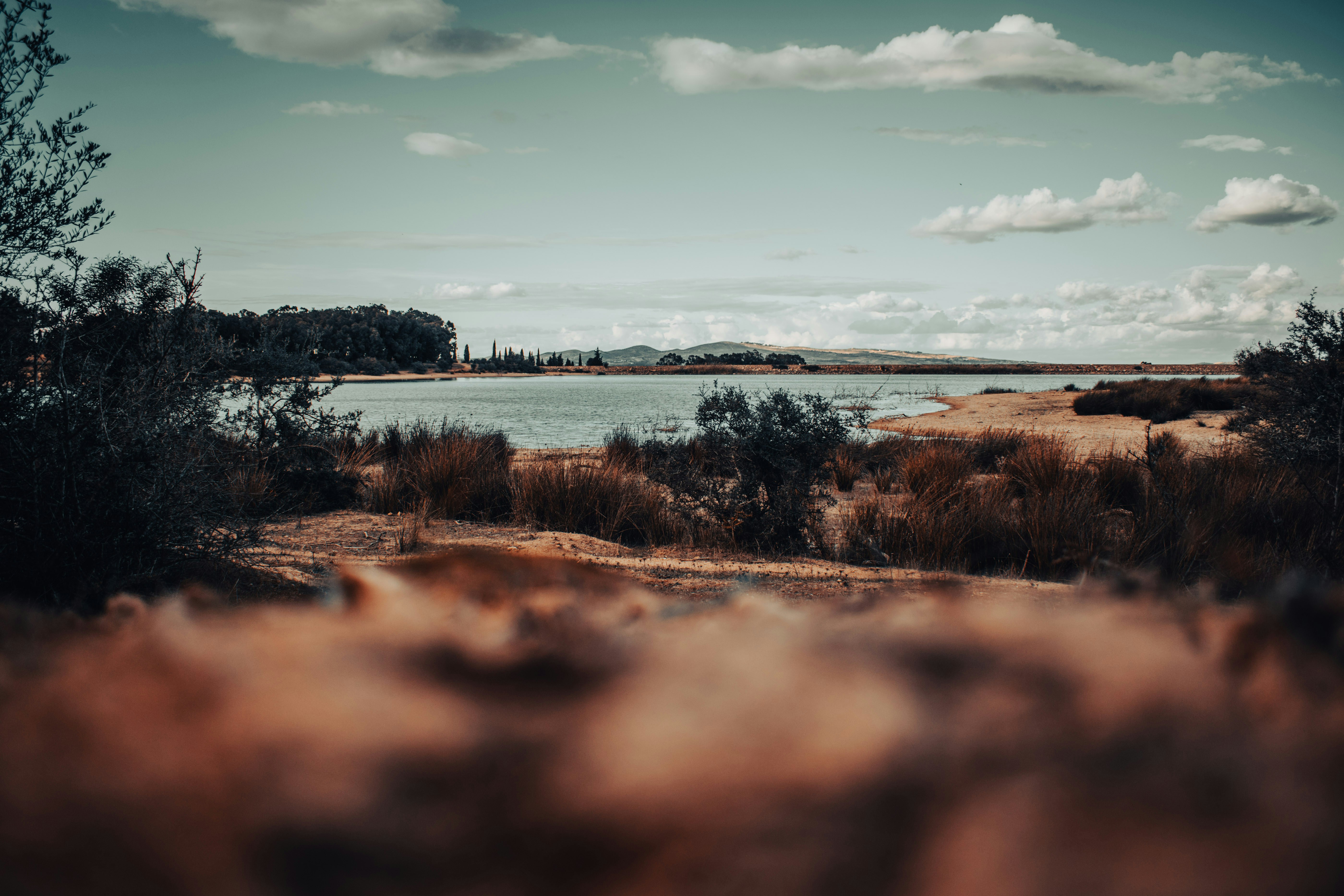 Photo by bilal_ayadi