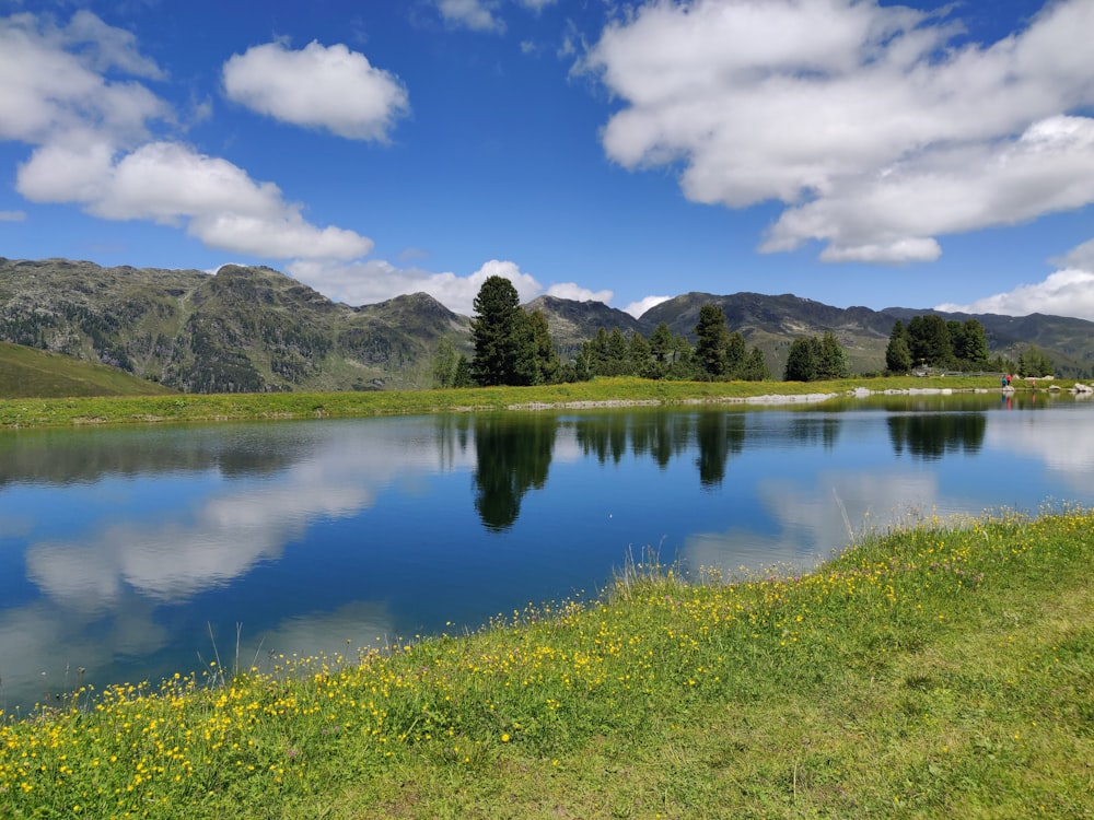 green grass field near lake under blue sky during daytime