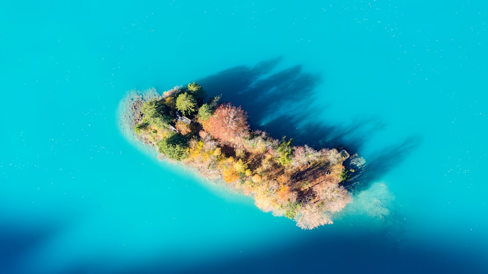 ilha marrom e verde no meio do mar azul
