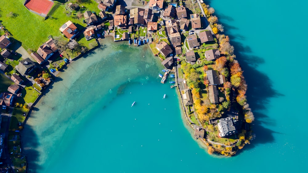 aerial view of city buildings near body of water during daytime