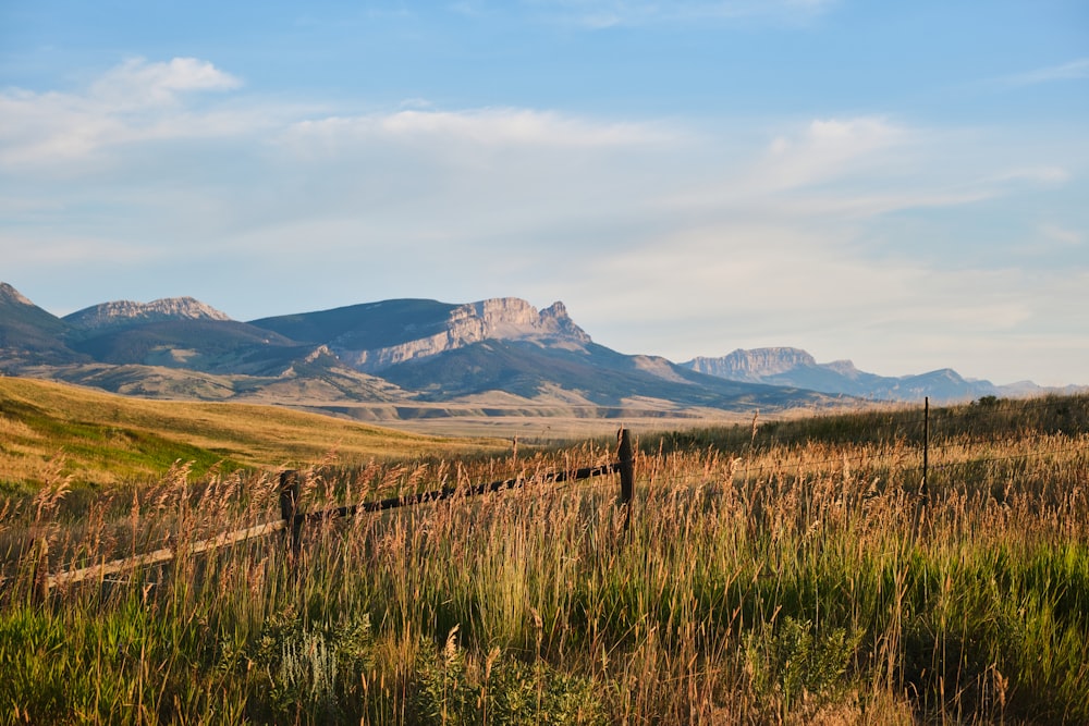 green grass field near brown mountain under blue sky during daytime