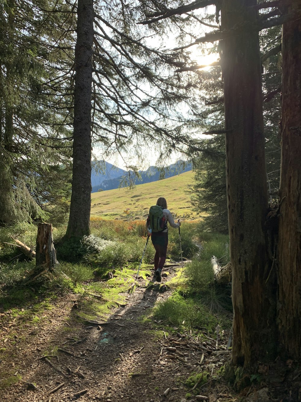 homme en t-shirt noir et jean bleu marchant sur un chemin de terre entre les arbres pendant