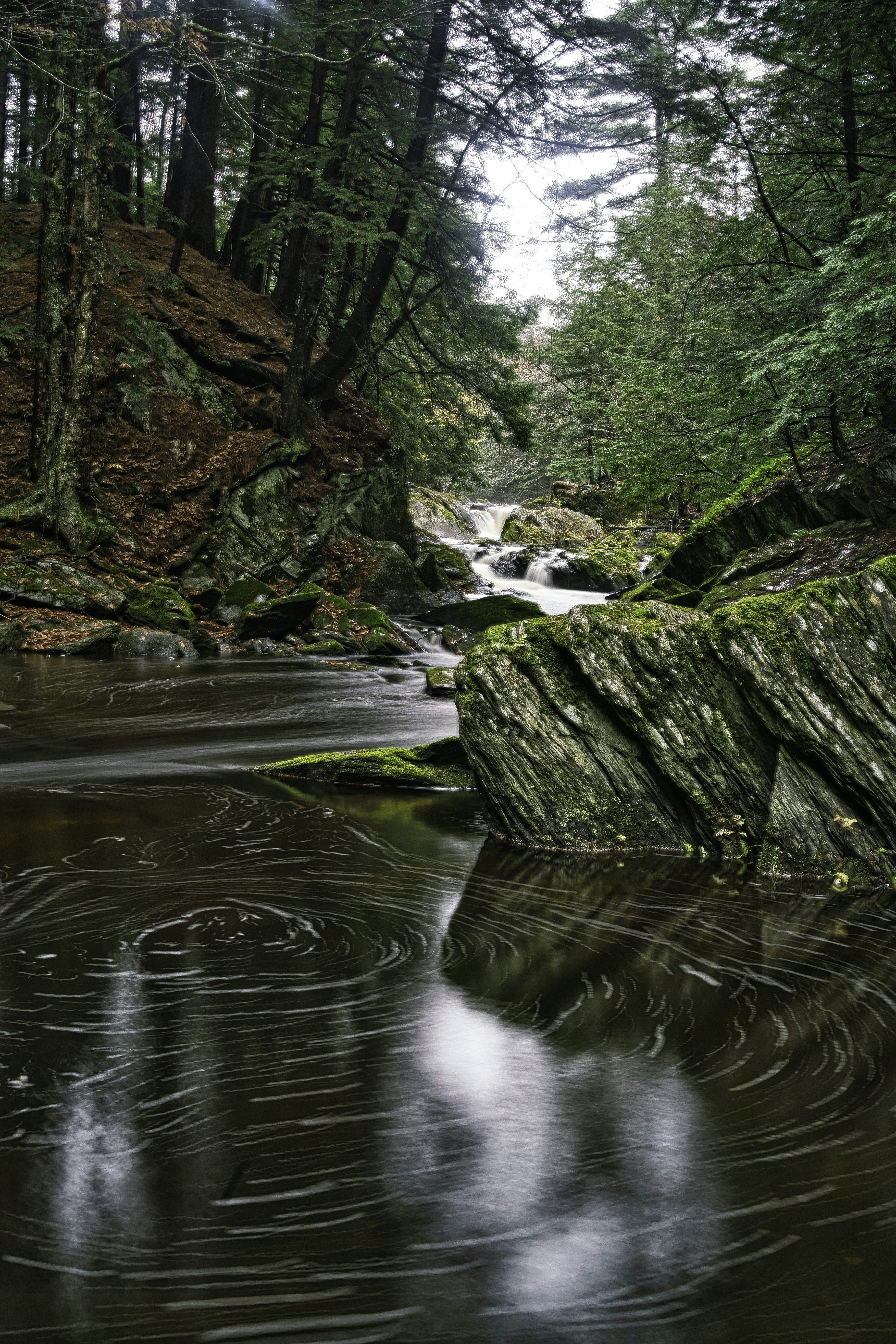 Photo by albertobobbera
