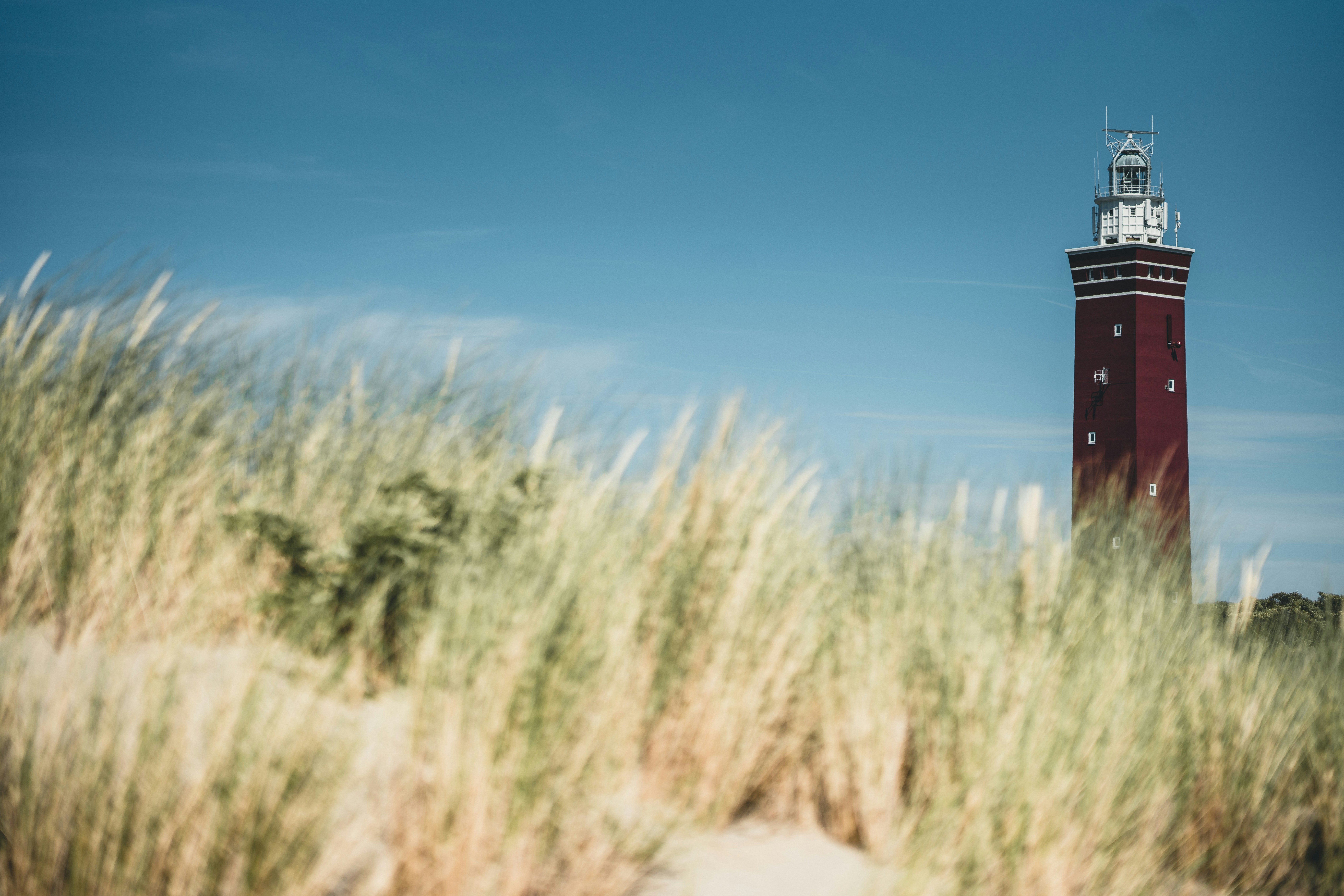 green grass field under blue sky during daytime
