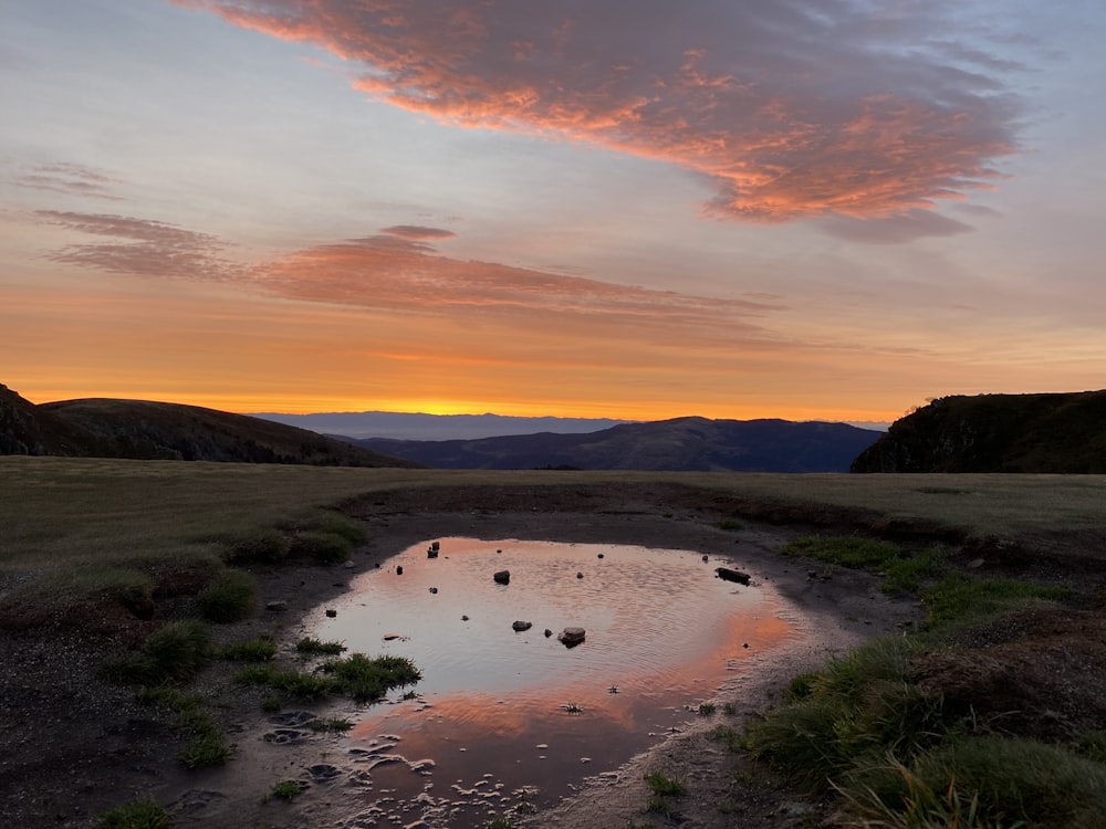 herbe verte et sable brun au coucher du soleil