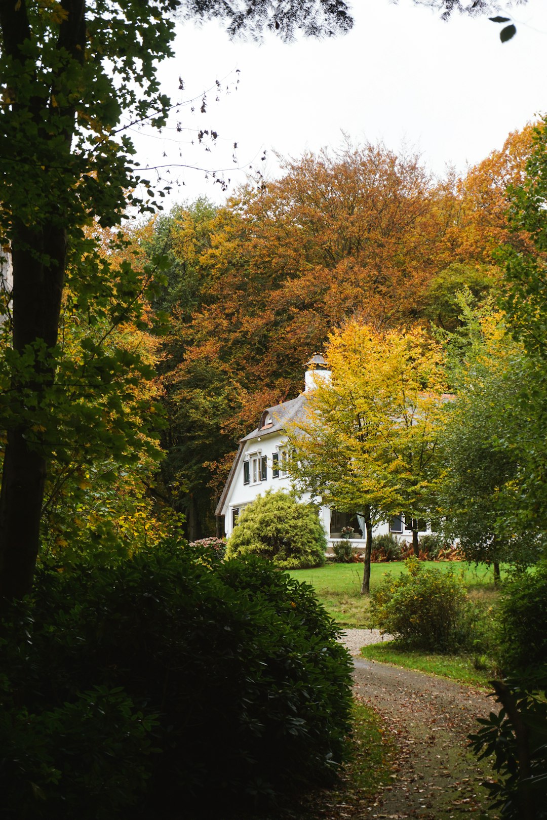 white concrete building surrounded by trees