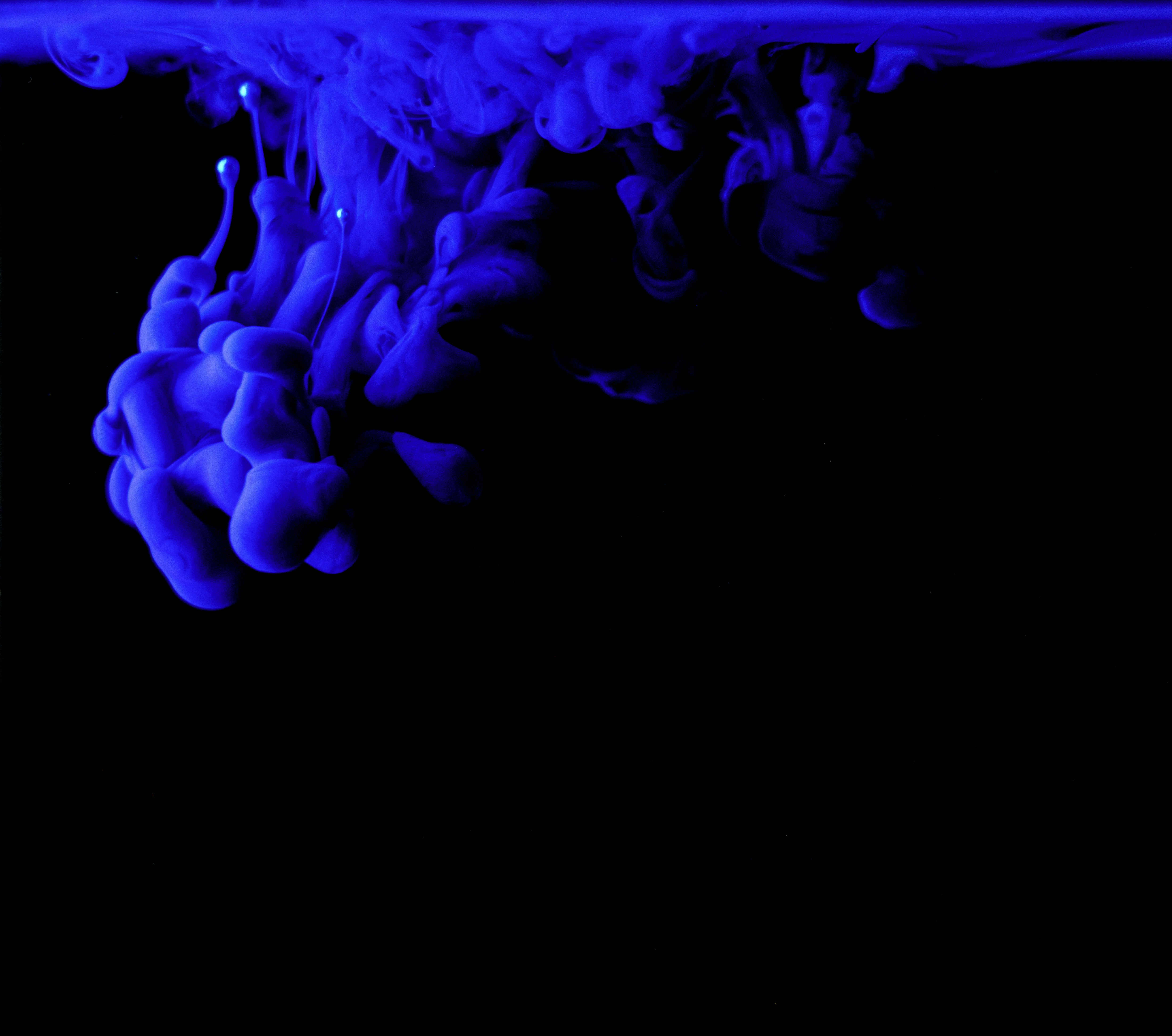 Photo by mickdepaola