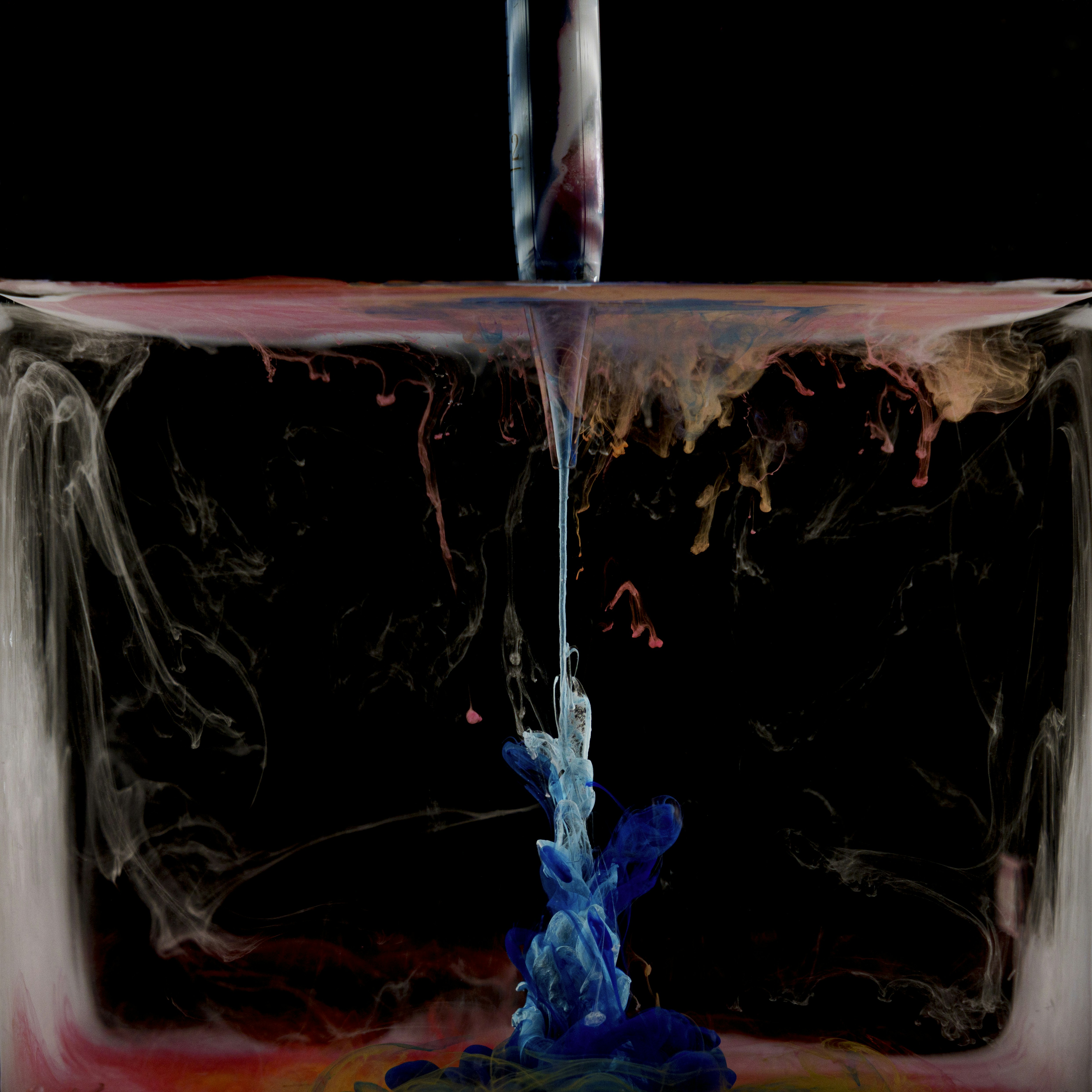 Photo by mickdepaola