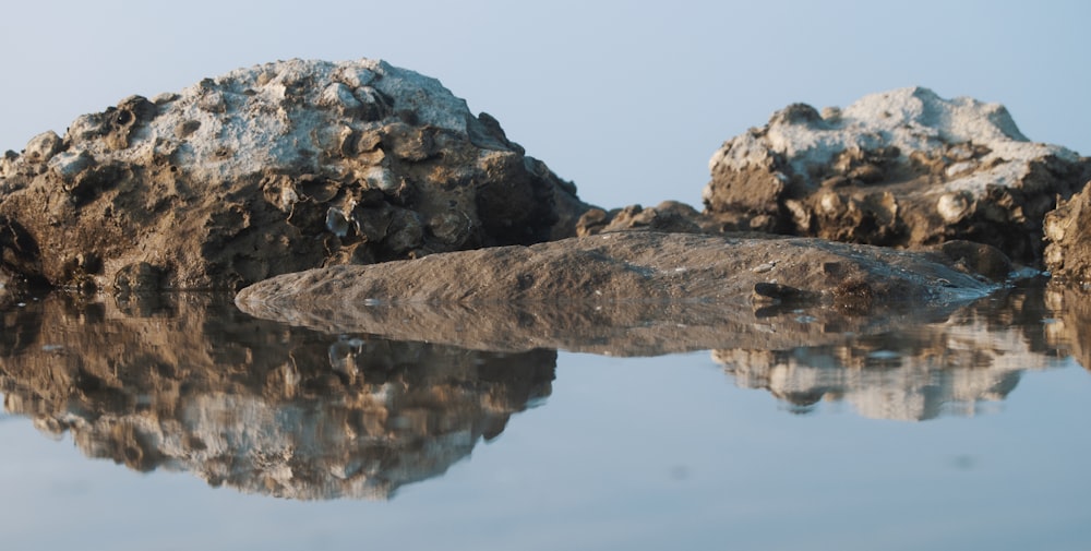 Formation de roche brune sur un plan d’eau pendant la journée