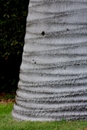 A close-up of a palm tree trunk with a textured surface and horizontal grooves. The base of the tree is surrounded by well-maintained grass. Dark green foliage is visible in the background, suggesting a garden or park setting.