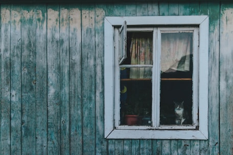 white wooden framed glass window