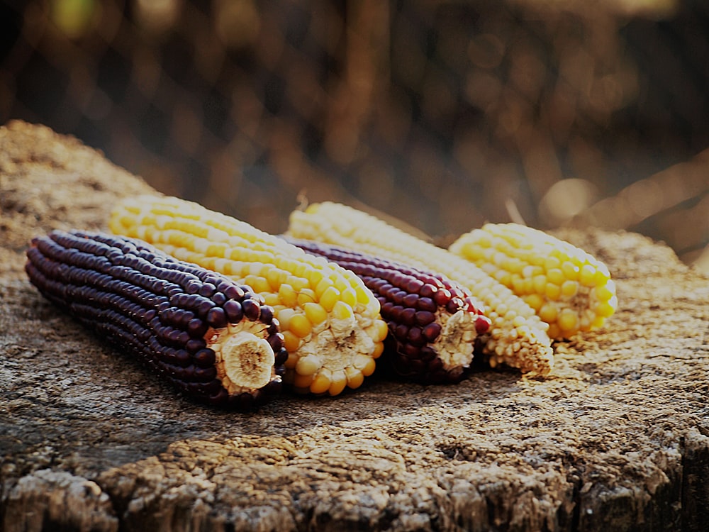 corn on brown wooden table