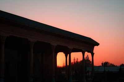 silhouette of trees during sunset uzbekistan google meet background