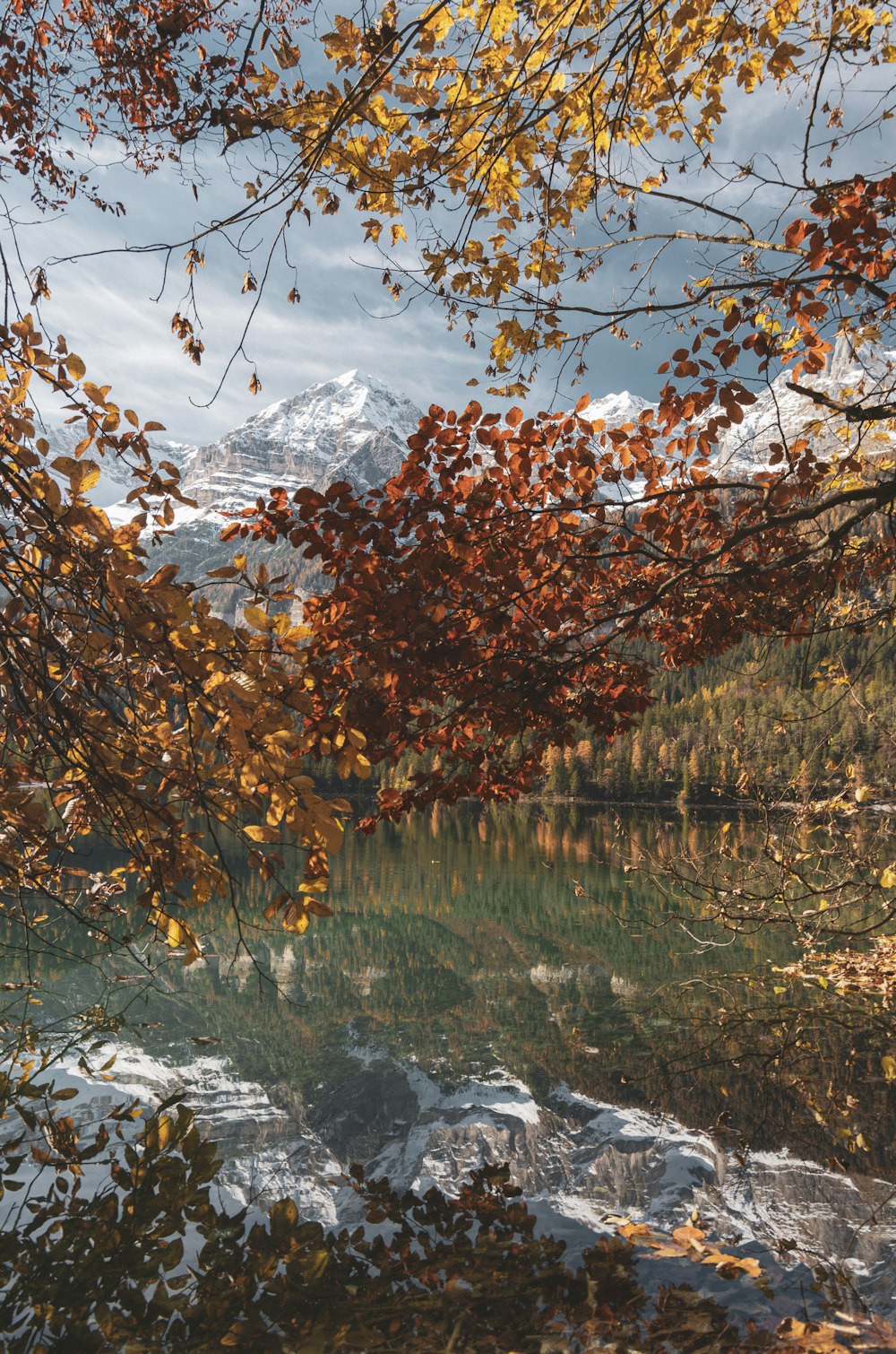 a lake surrounded by trees with a mountain in the background