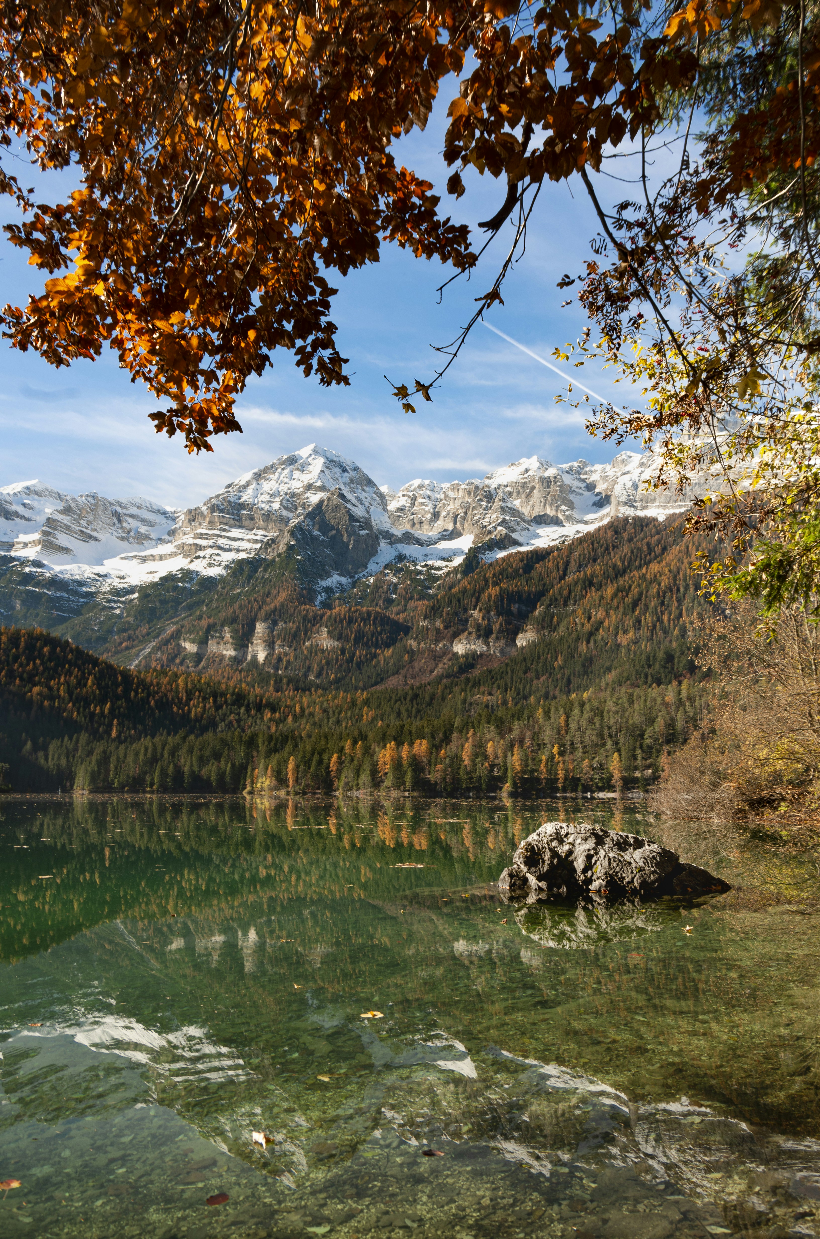brown and green trees near lake and snow covered mountain during daytime