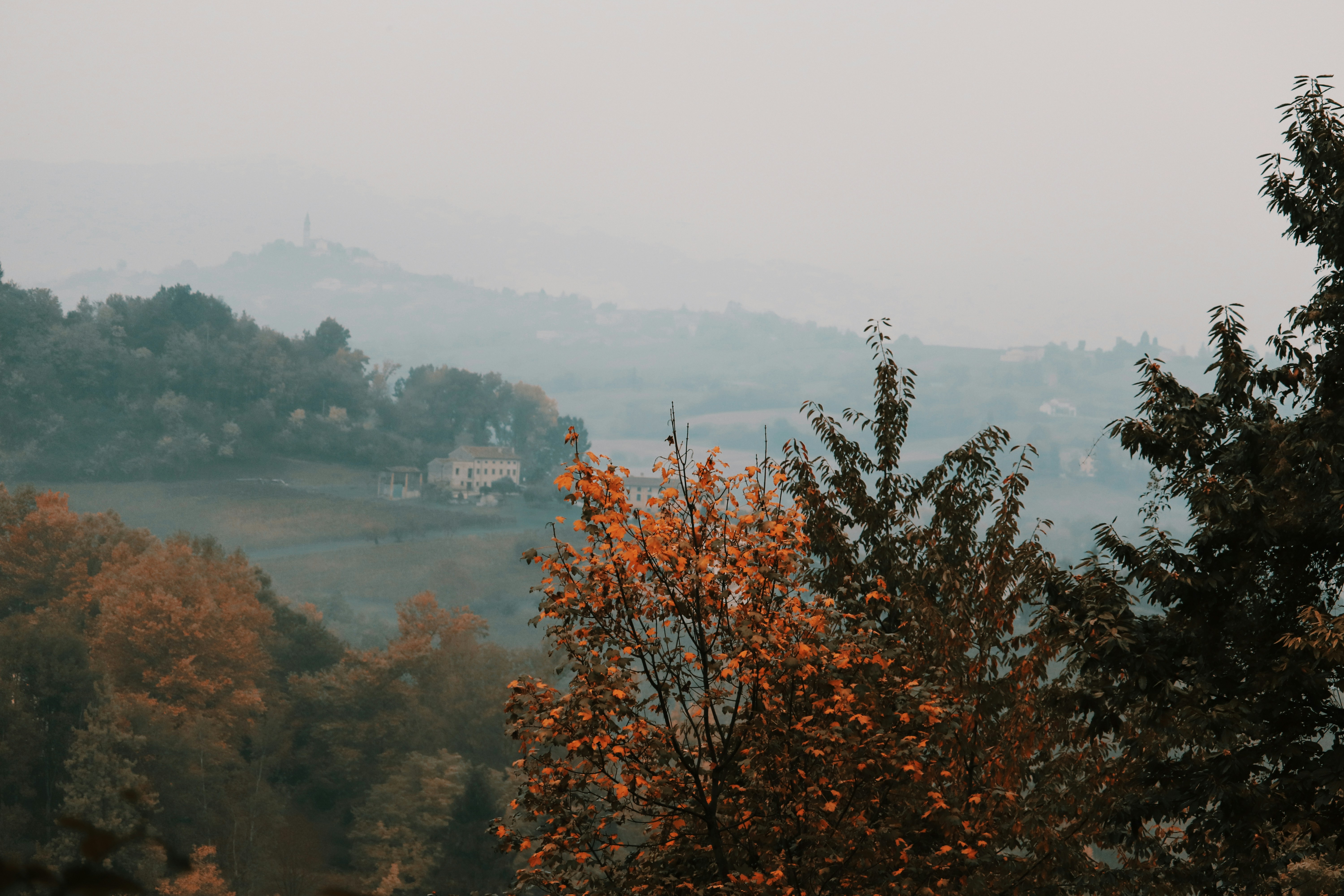 Nature produces the most astoundingly beautiful images: the swirling lava of a volcano, palm trees against a blue sky, snow-capped mountains towering above. Unsplash has magnificent , high-quality photos of all the delights that nature has to offer.