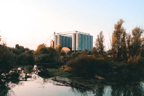 A panoramic view of the rice mill complex at sunset, with golden light reflecting off the silos.