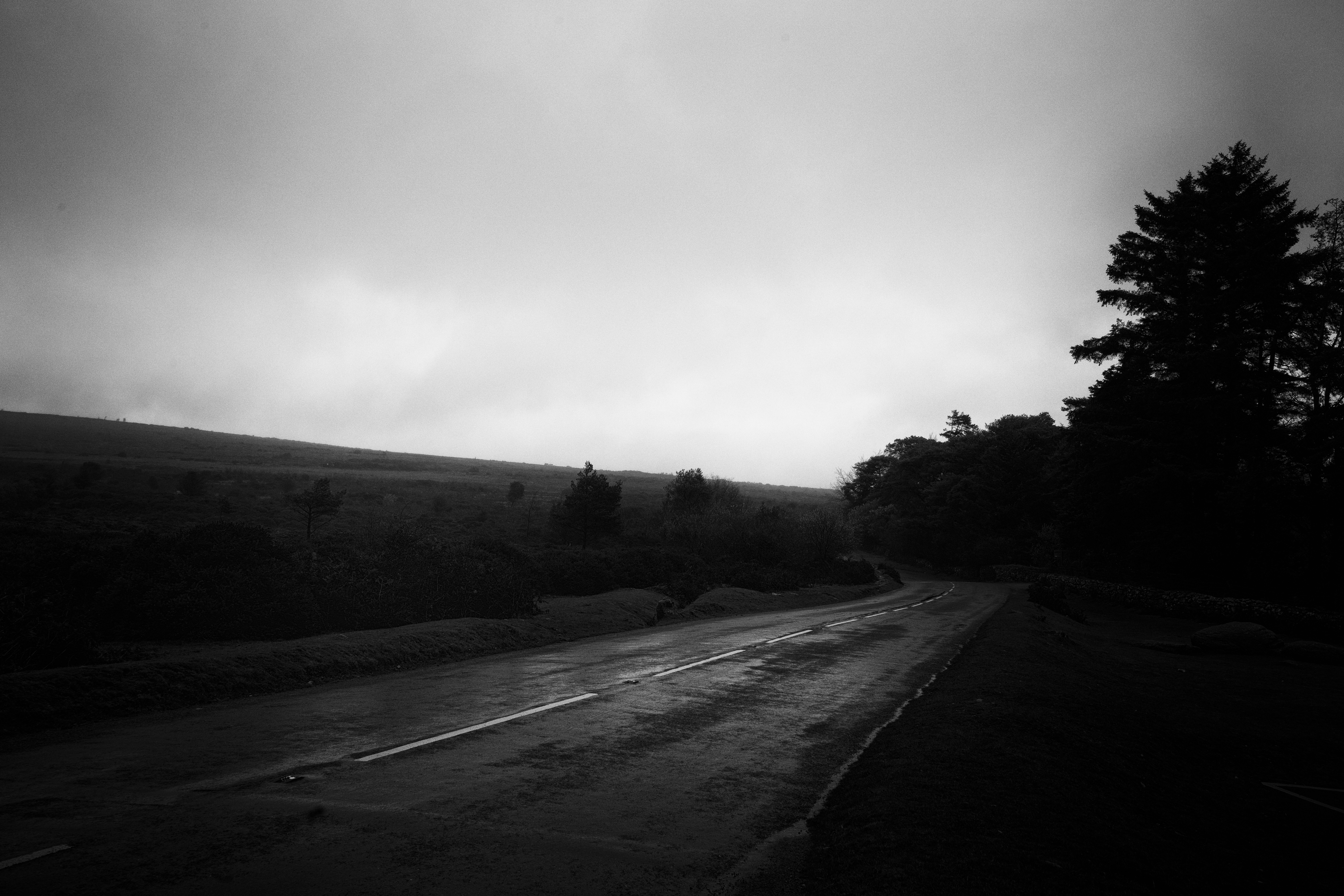 Photo by benjaletzke