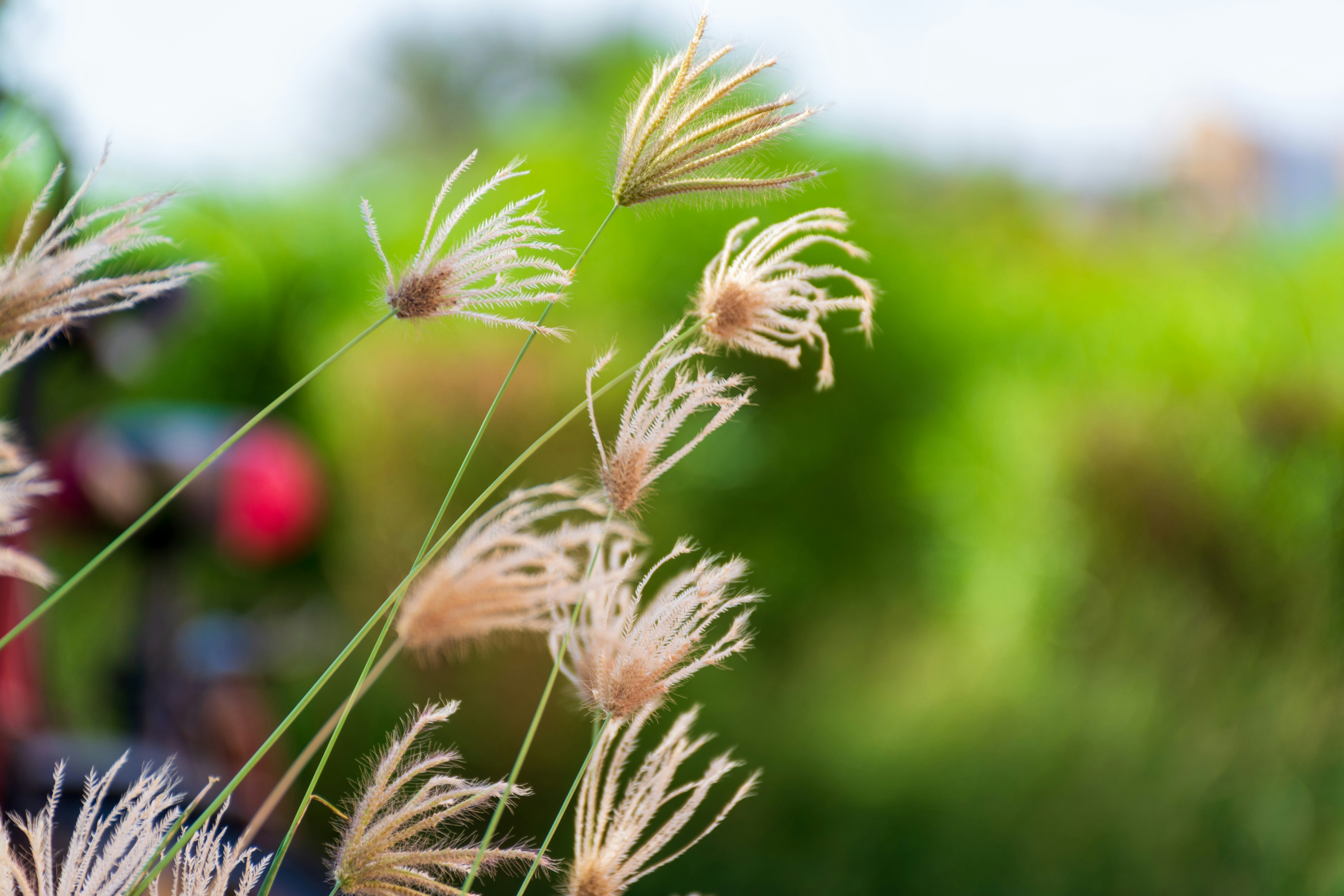 Photo by beingsanshots