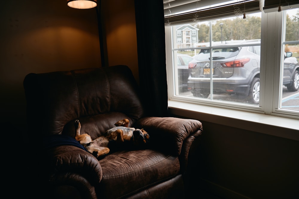 白いフレームのガラス窓の横の茶色の革張りのソファ