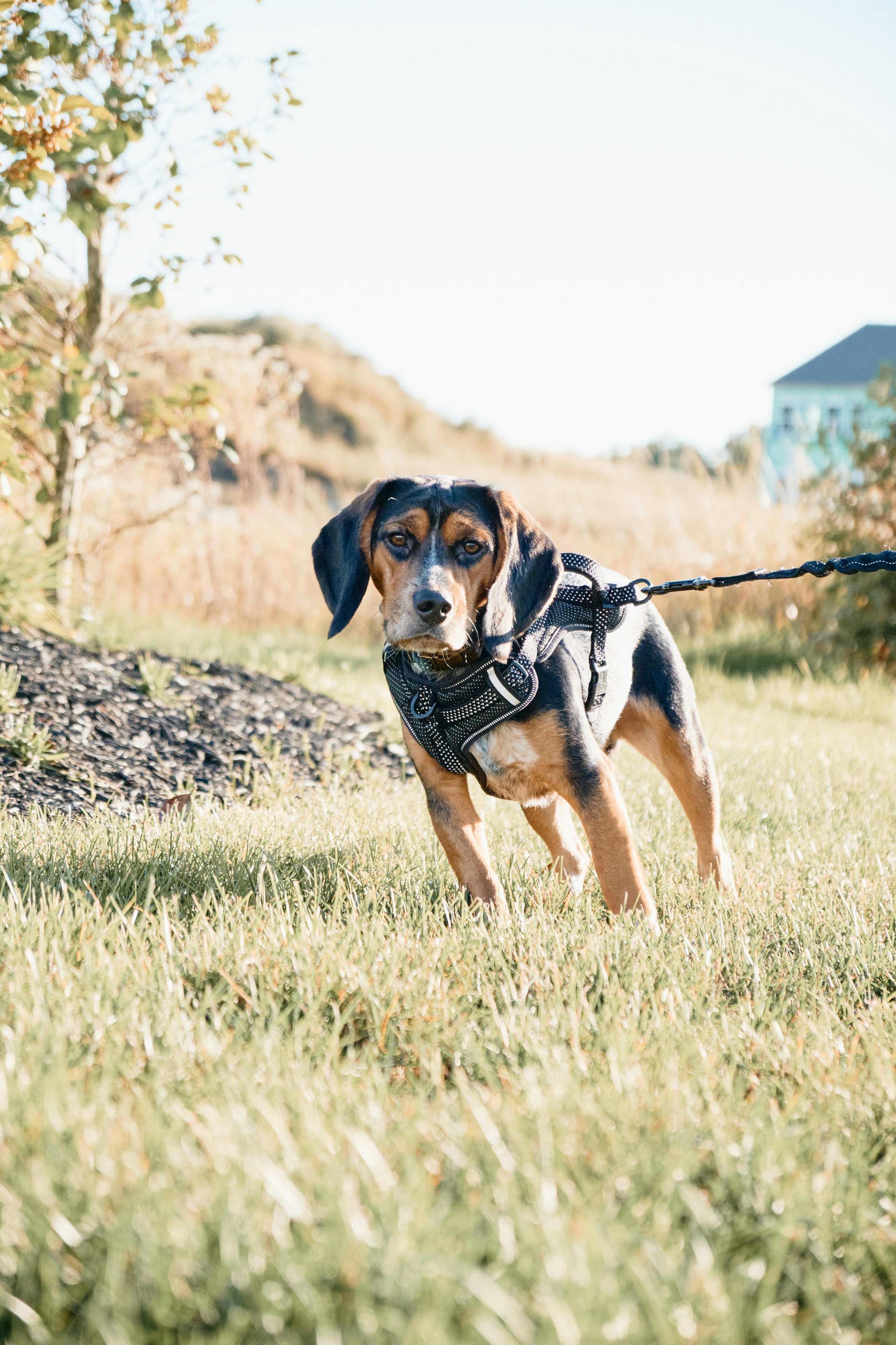 LIVE THING: WEEK TEN PREGAME HANGOUT