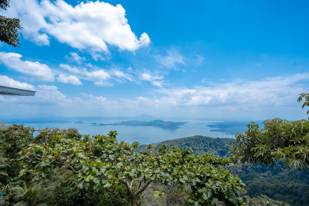 árboles verdes cerca del cuerpo de agua bajo el cielo azul durante el día