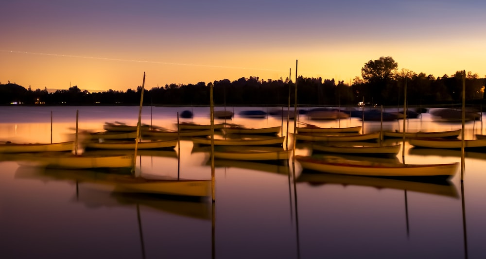 white and brown boat on water during sunset