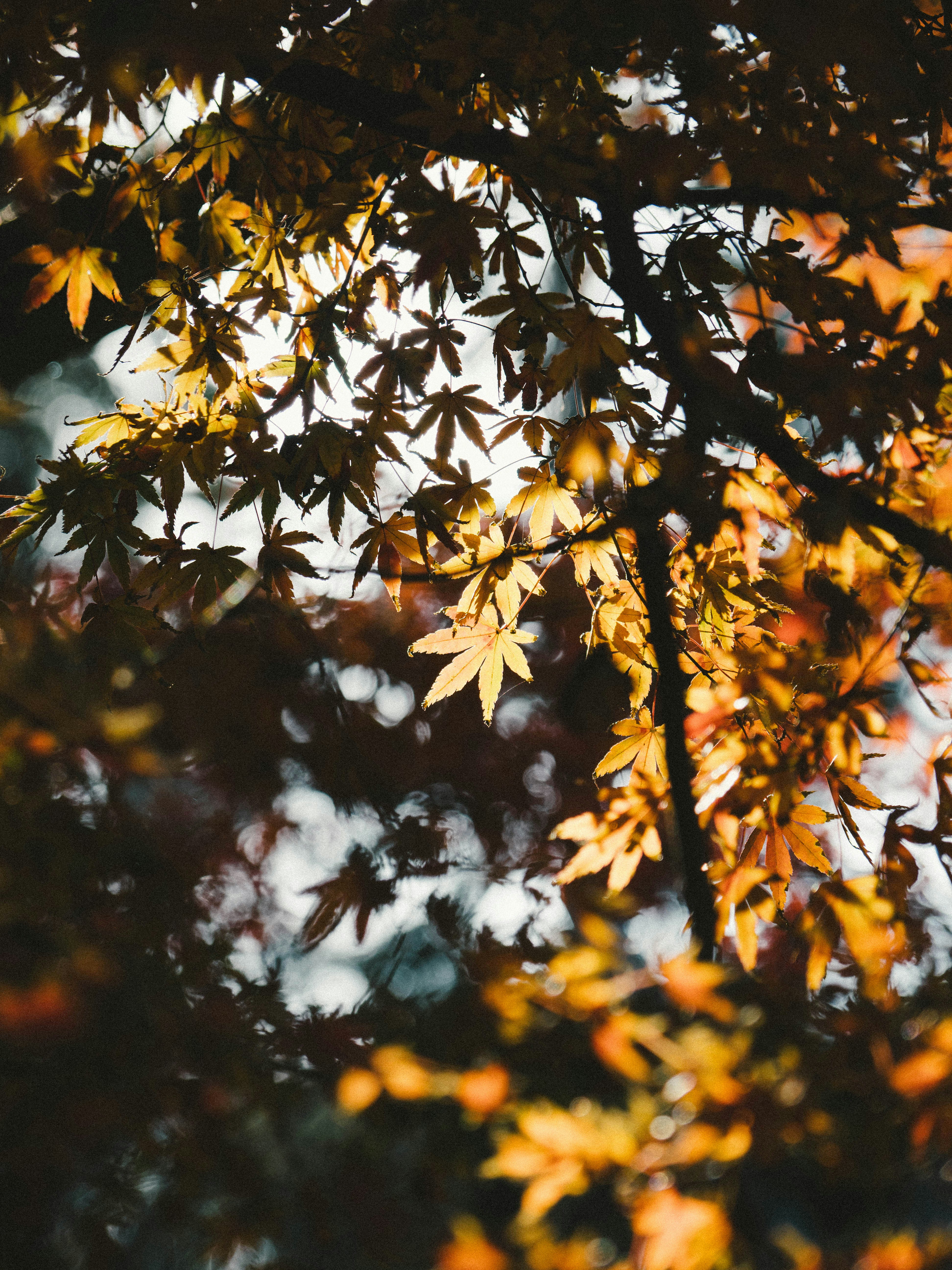 Photo by ultratunafish