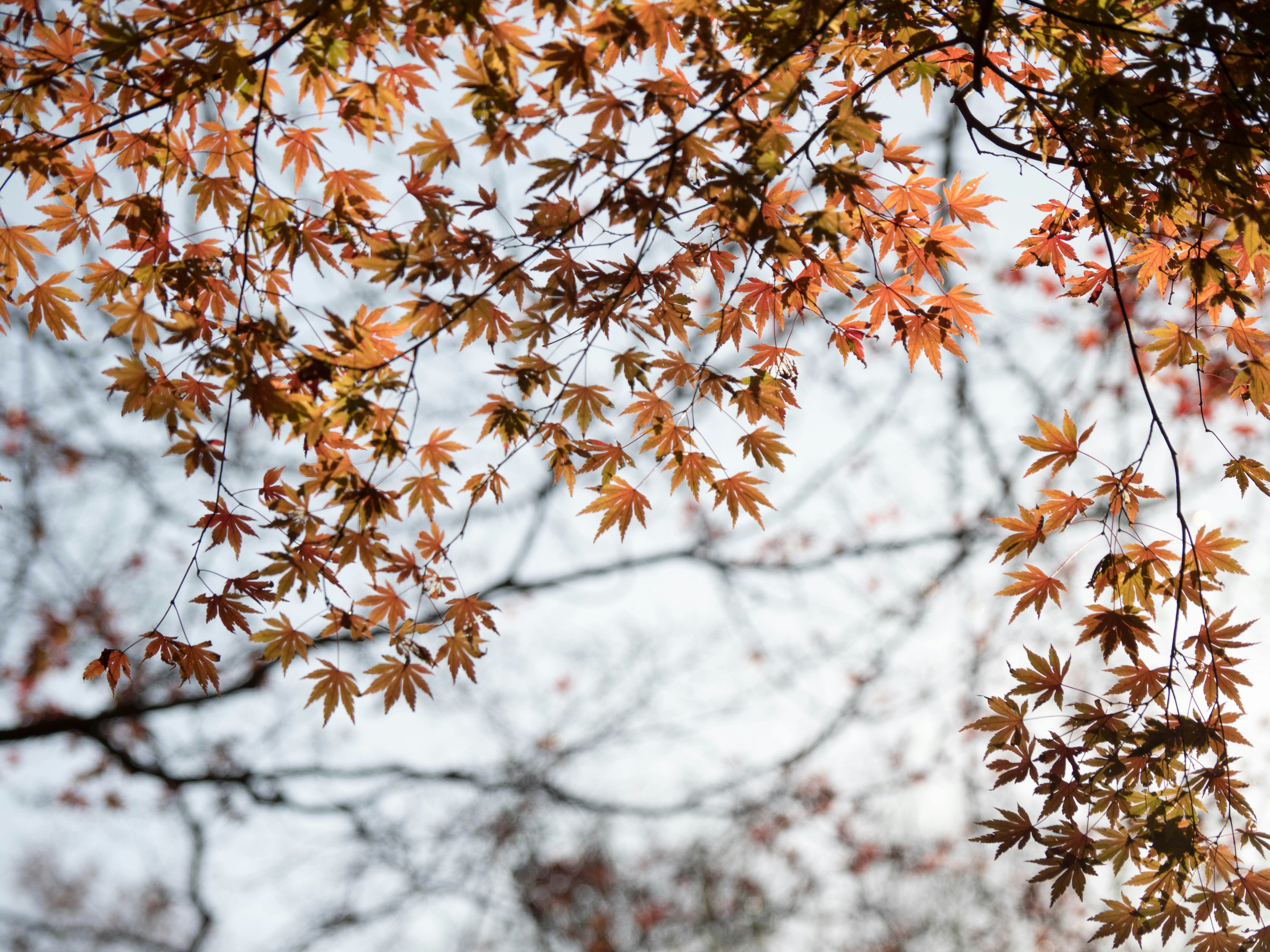 Photo by ultratunafish