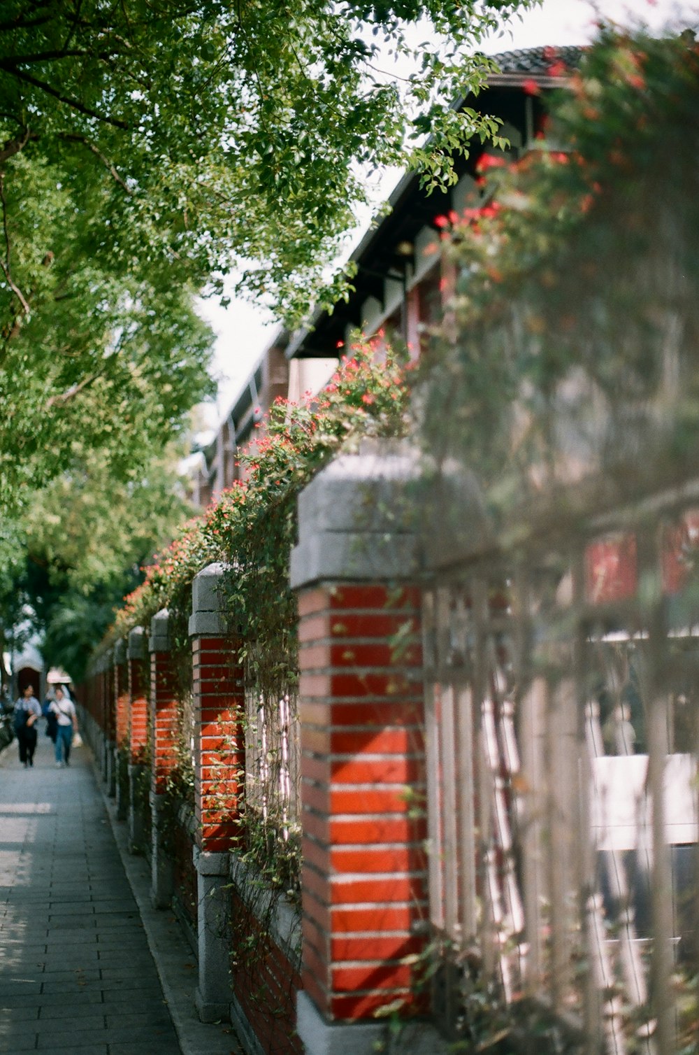 people walking on street during daytime