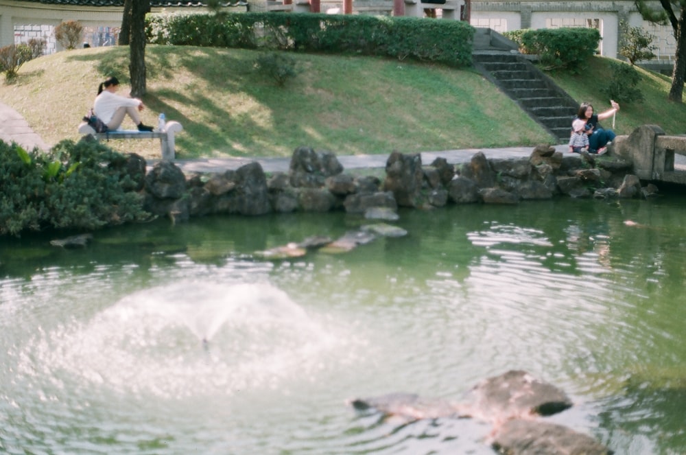 campo di erba verde vicino allo specchio d'acqua durante il giorno