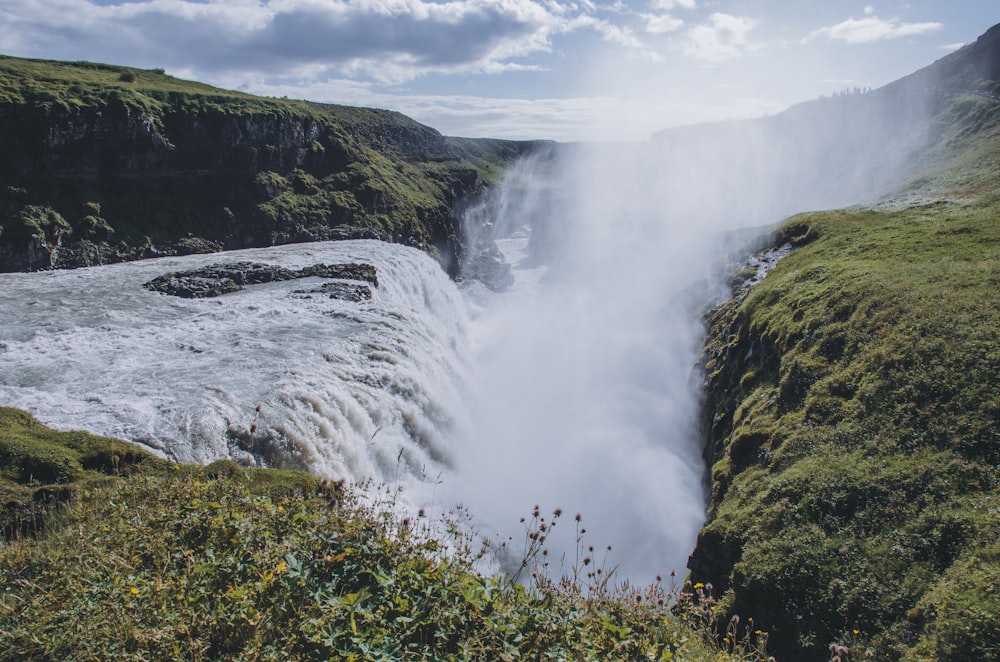 cascate nel mezzo del campo di erba verde