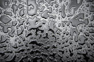 water droplets on black and white textile