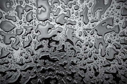 water droplets on black and white textile