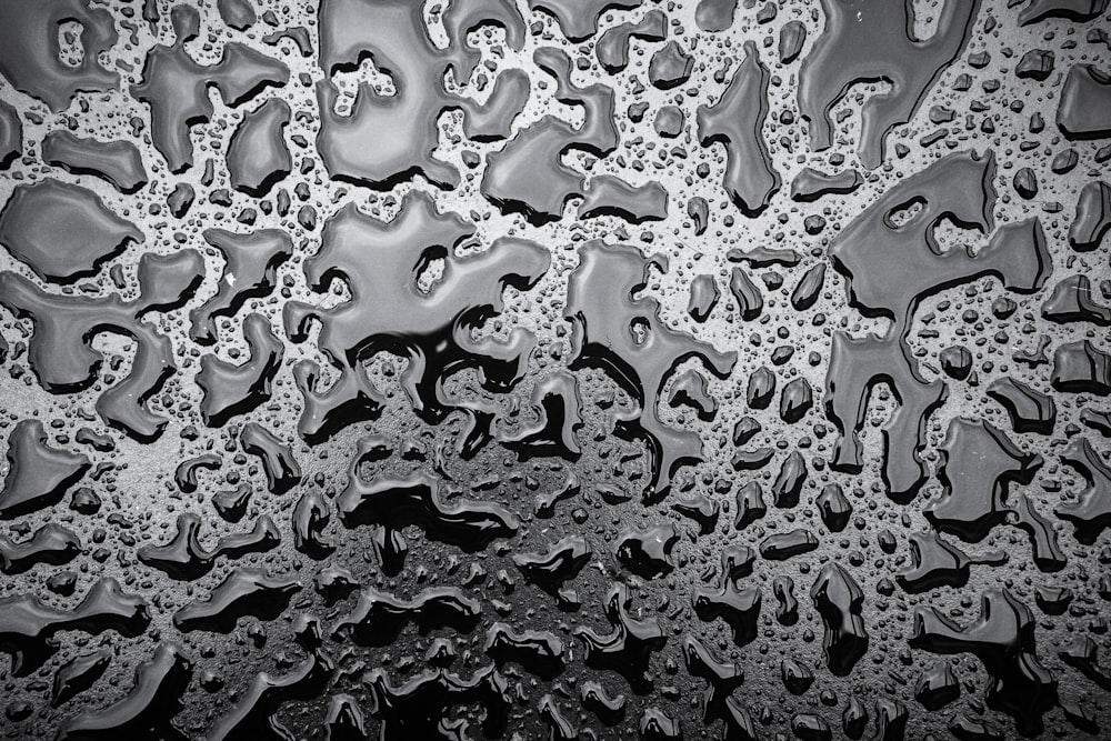 water droplets on black and white textile