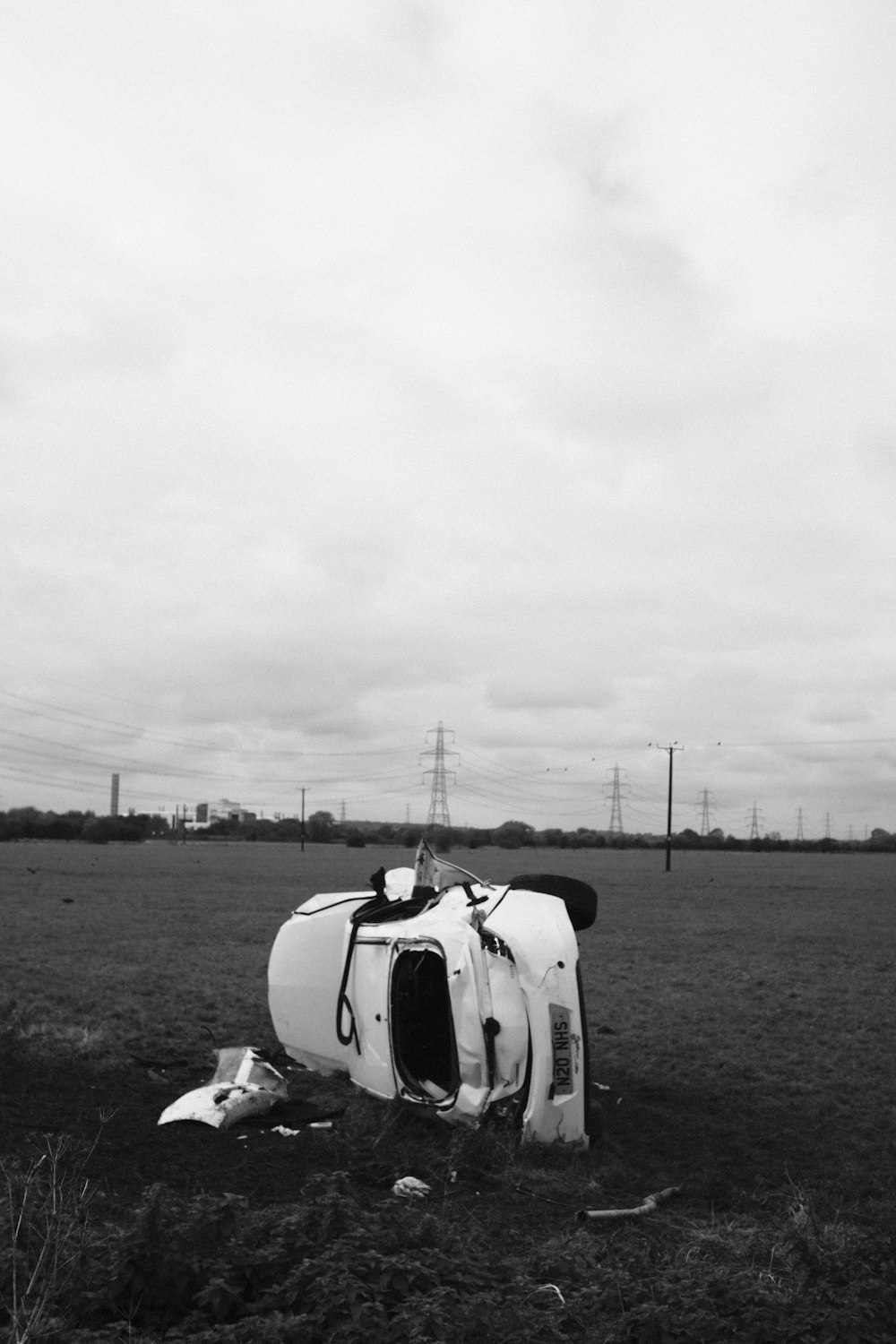 grayscale photo of horse on grass field