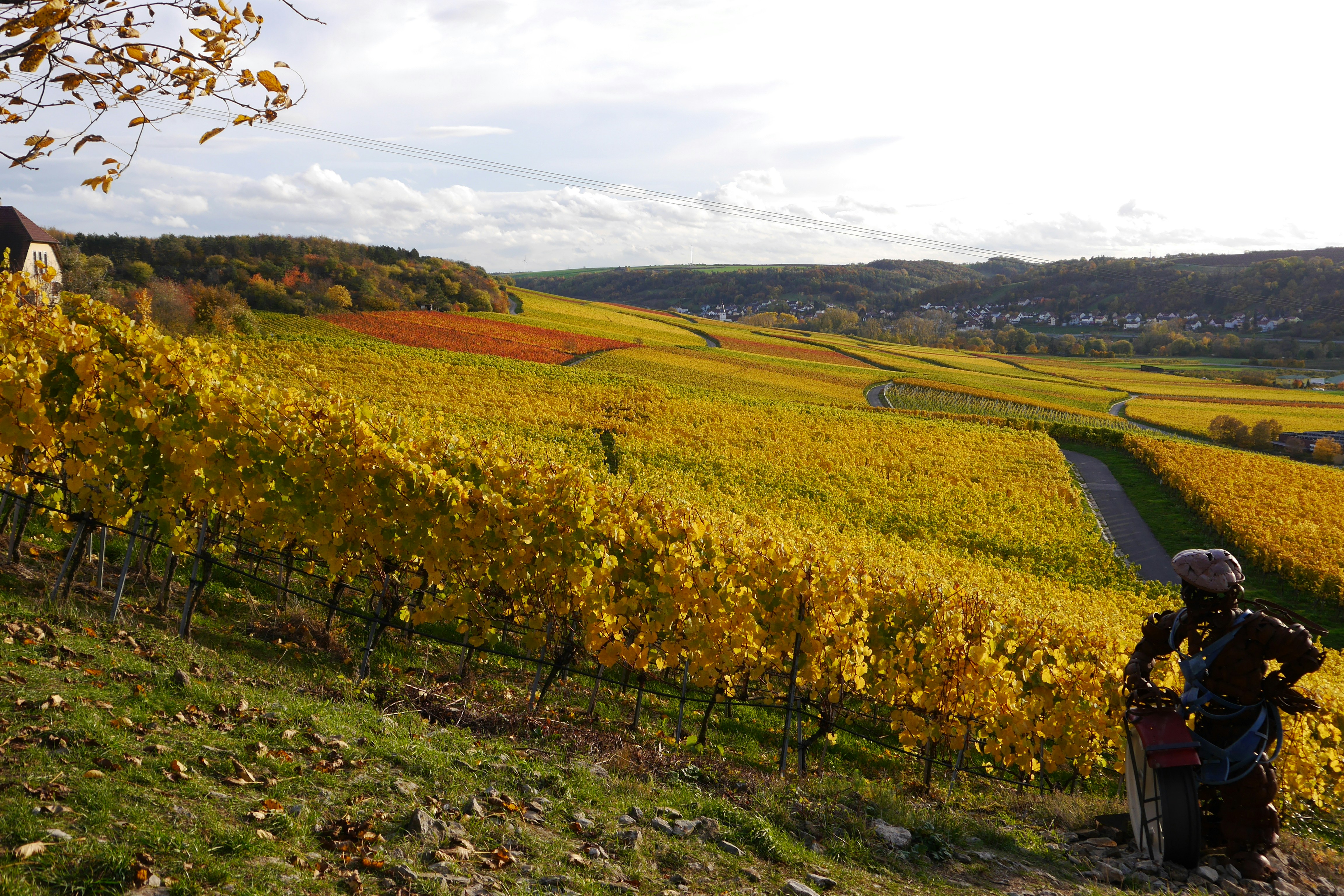 green grass field under cloudy sky during daytime