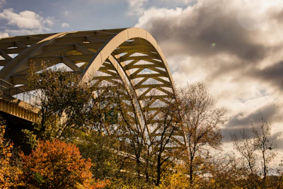 An urban scene featuring a bridge framed by autumn leaves glowing in warm sunlight.