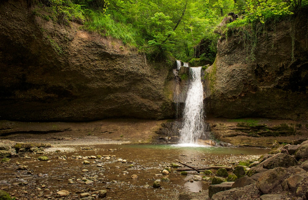 water falls in the middle of the forest