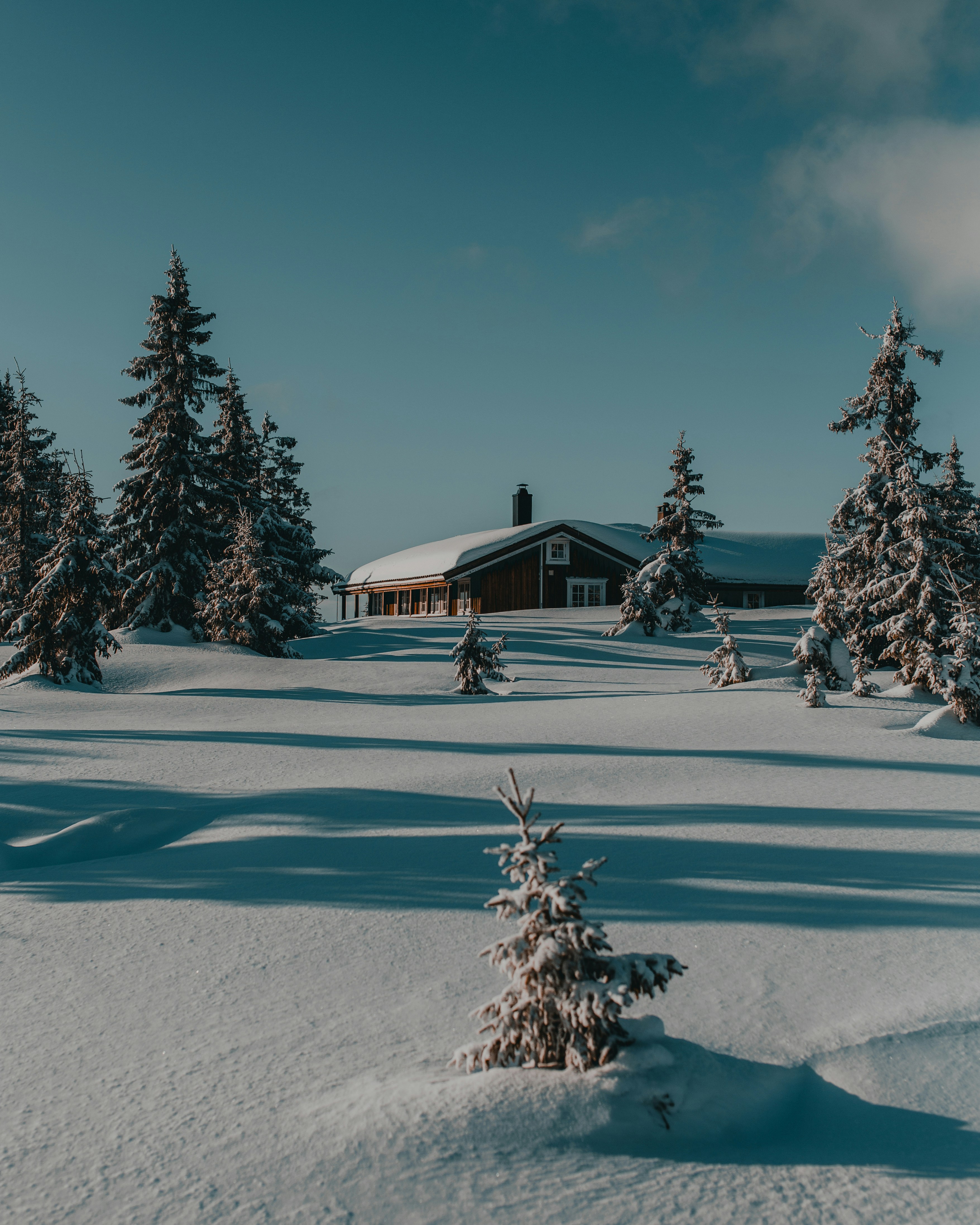 Photo by thomaslangnes