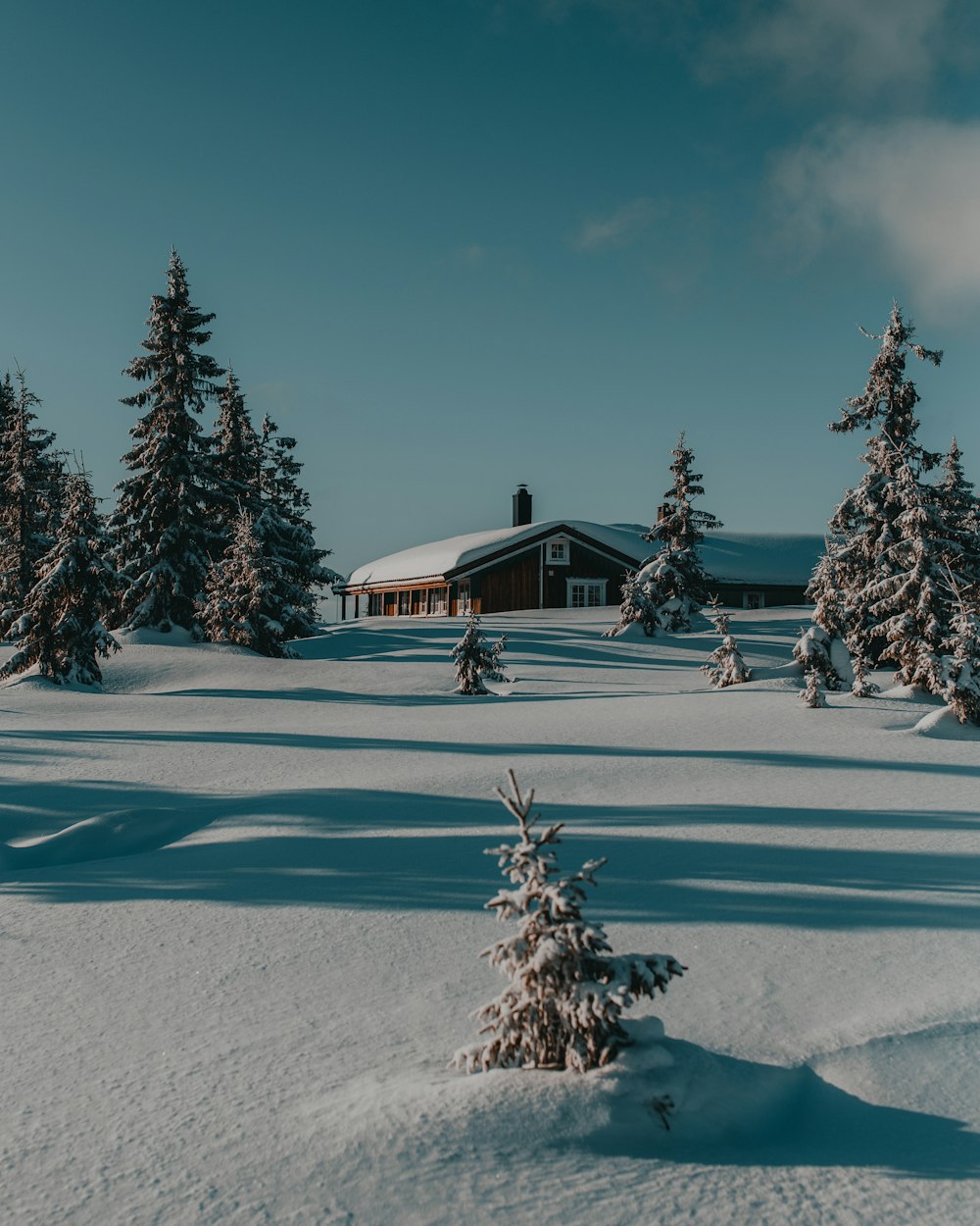 brown and white house surrounded by snow covered trees under blue sky during daytime