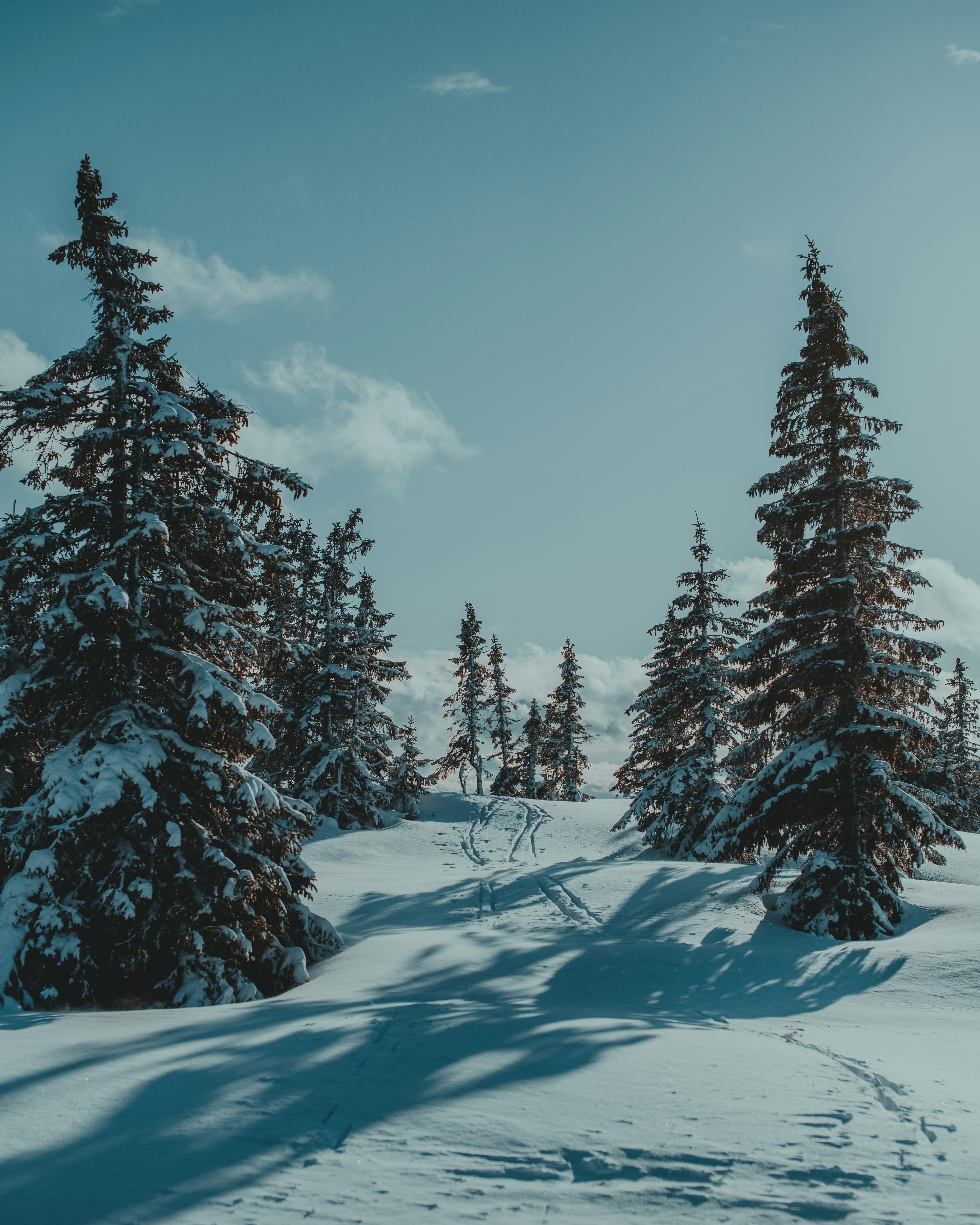 Photo by thomaslangnes