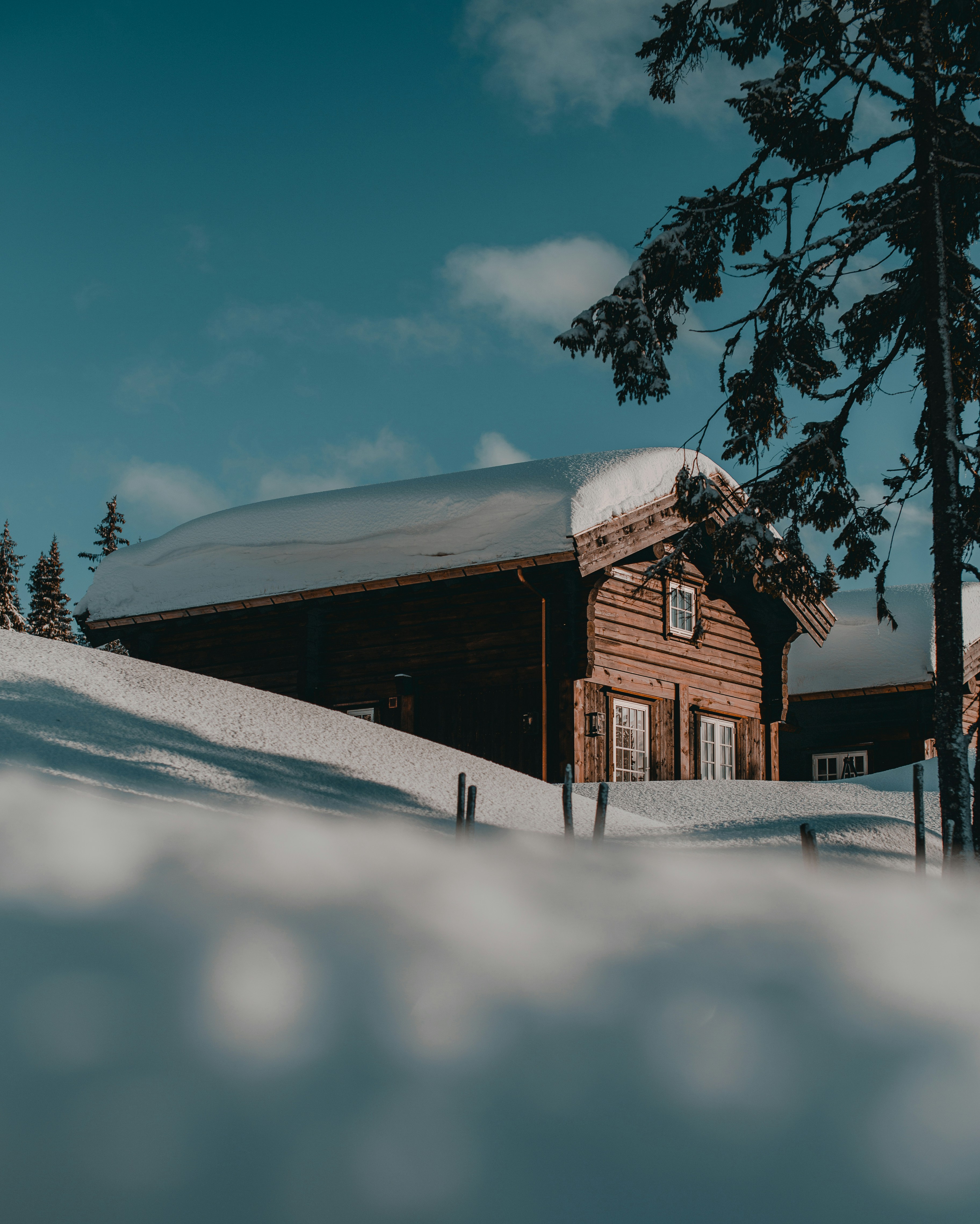 Photo by thomaslangnes