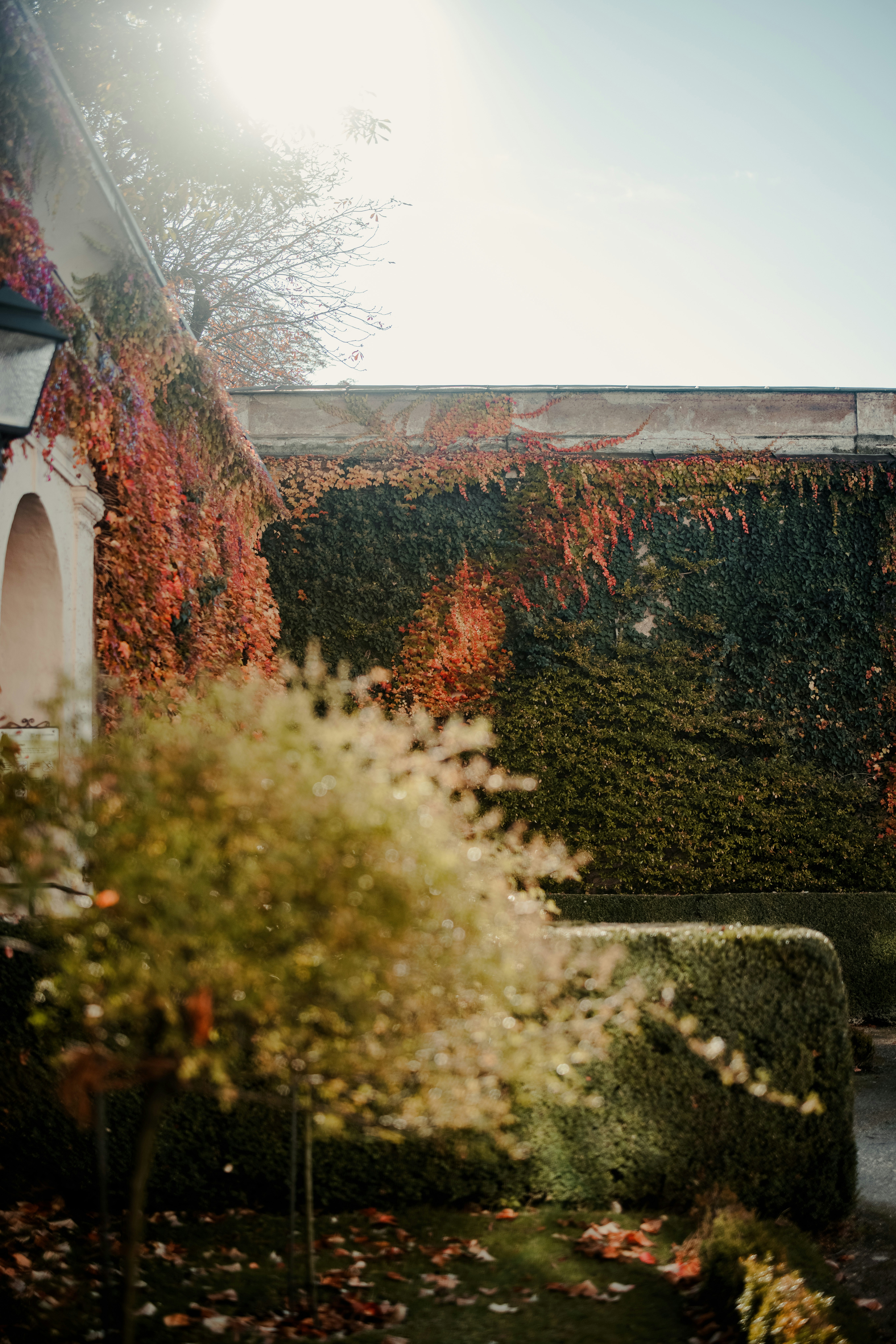 Photo by patresinger