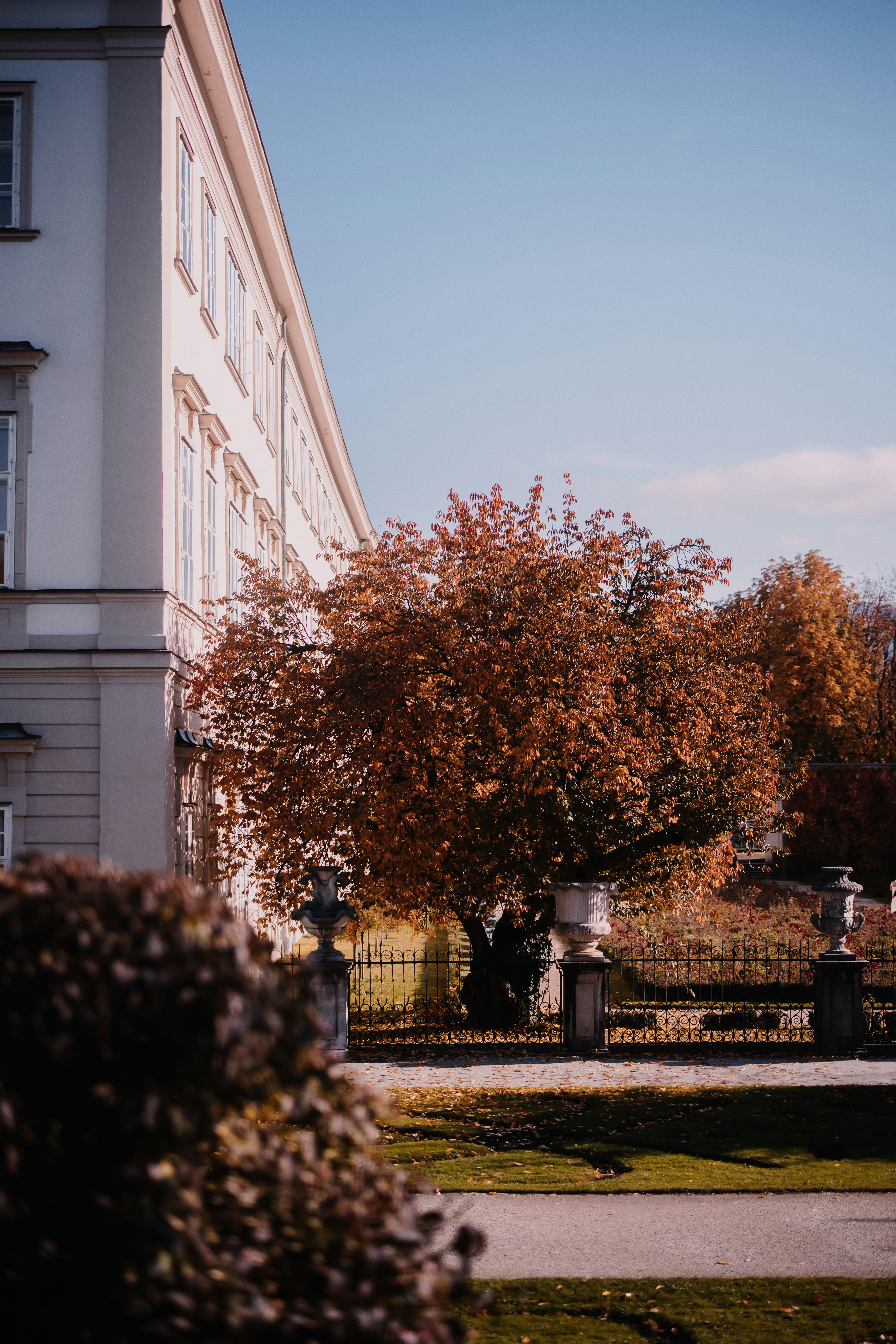 Photo by patresinger