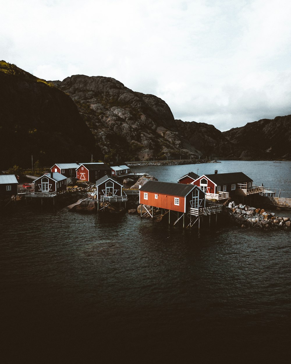 houses on a hill by a lake